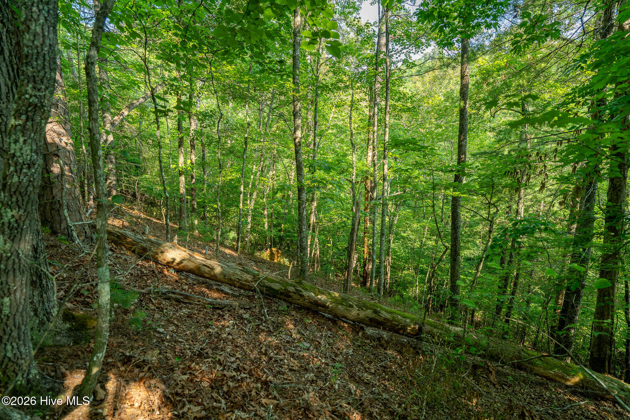 99ac Highway 74/19-129 Property Photo 43