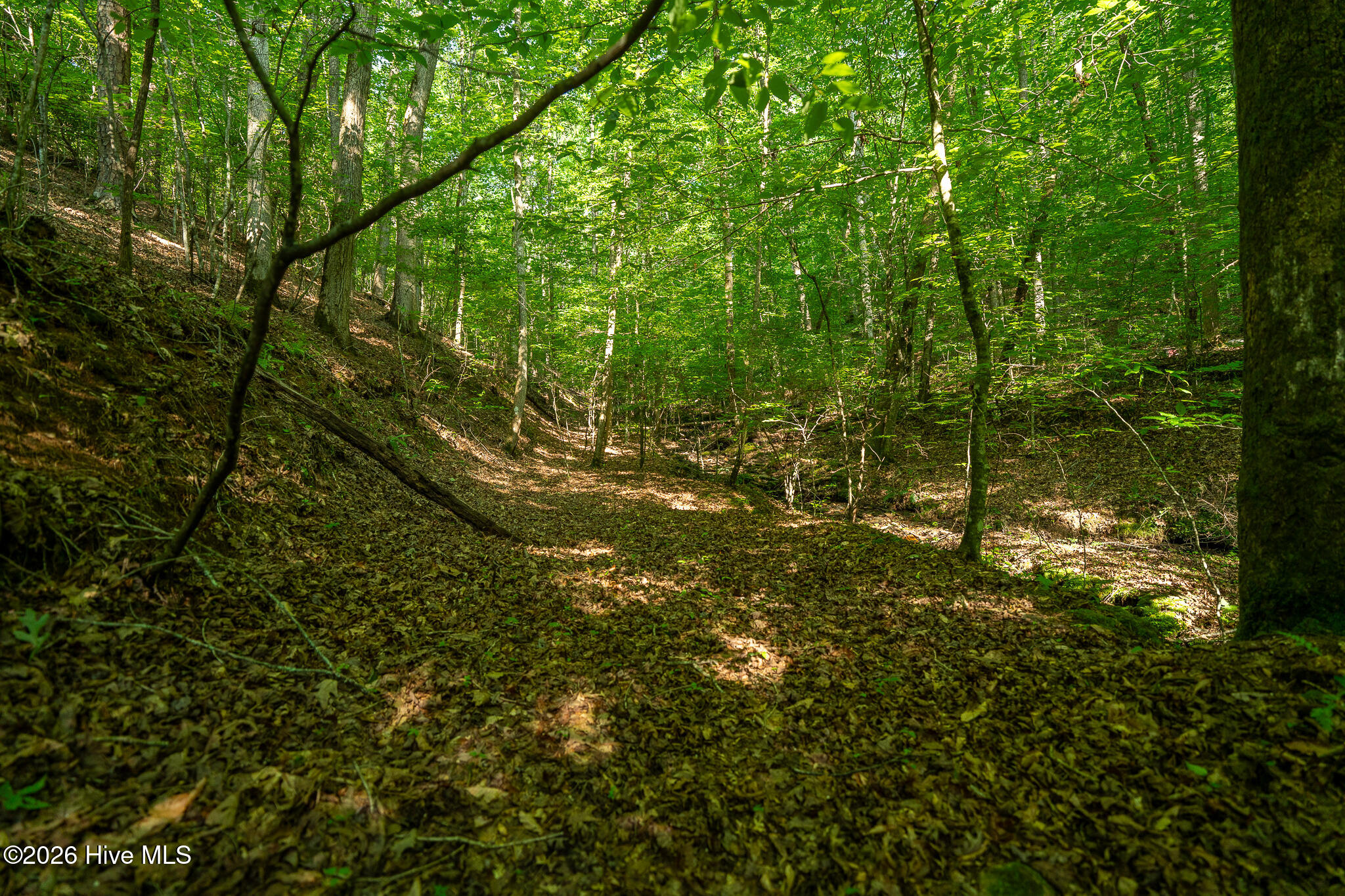 99ac Highway 74/19-129 Property Photo 44