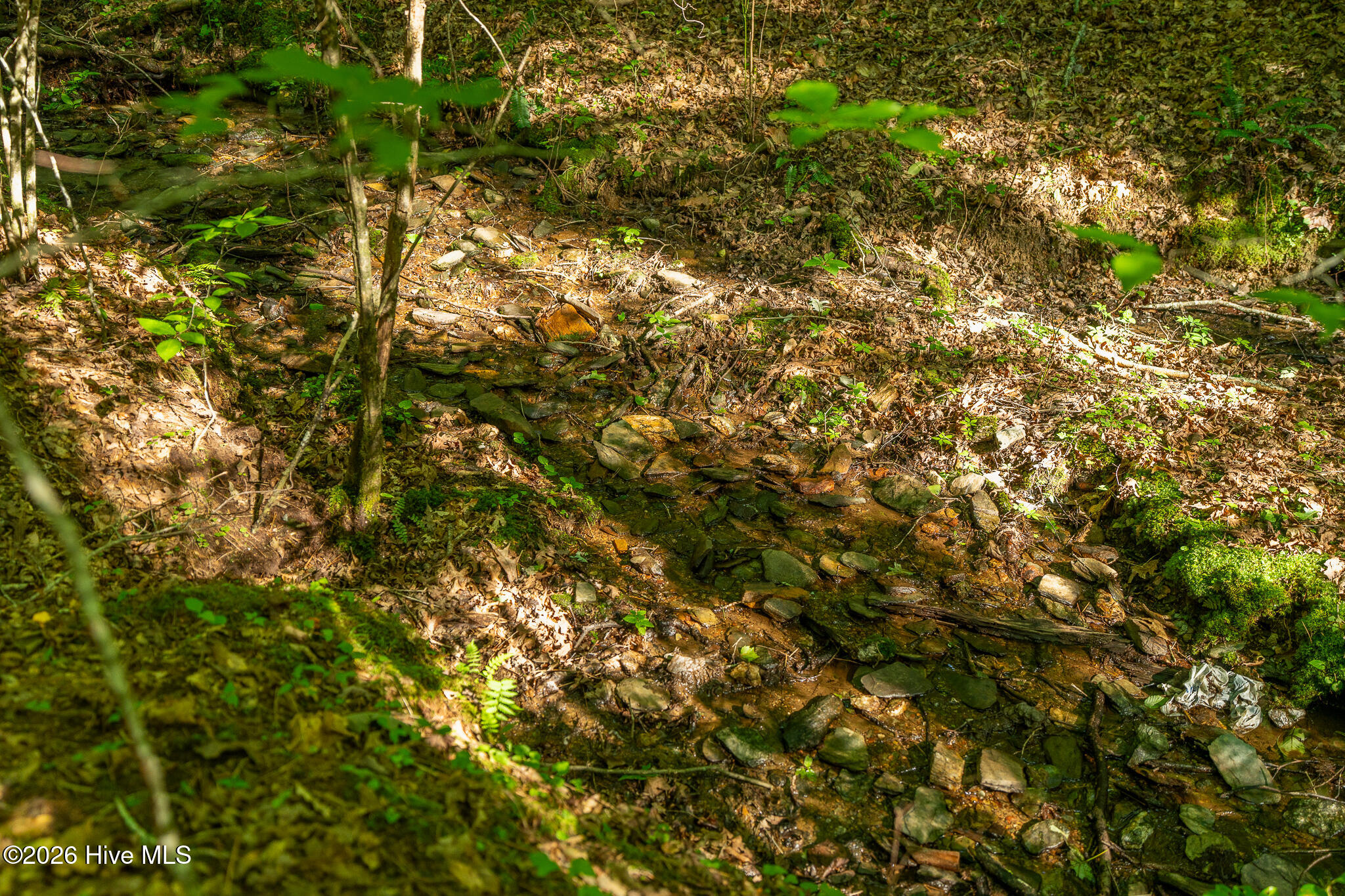 99ac Highway 74/19-129 Property Photo 45