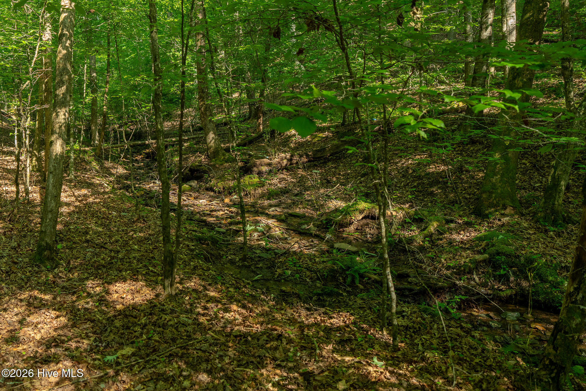 99ac Highway 74/19-129 Property Photo 46