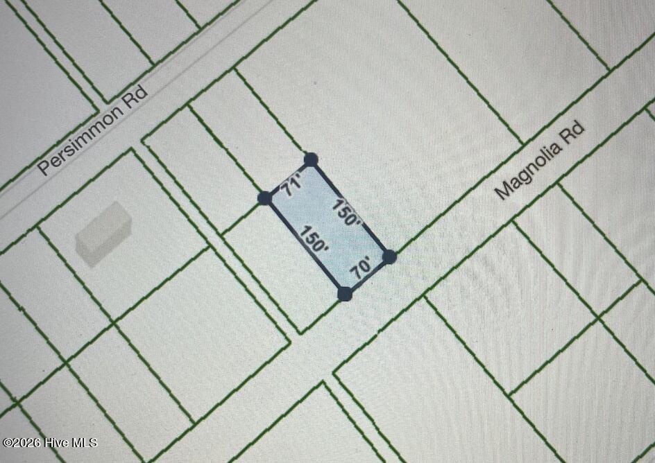 323 Magnolia Road