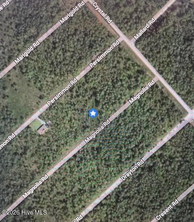 323 Magnolia Road Property Photo 2