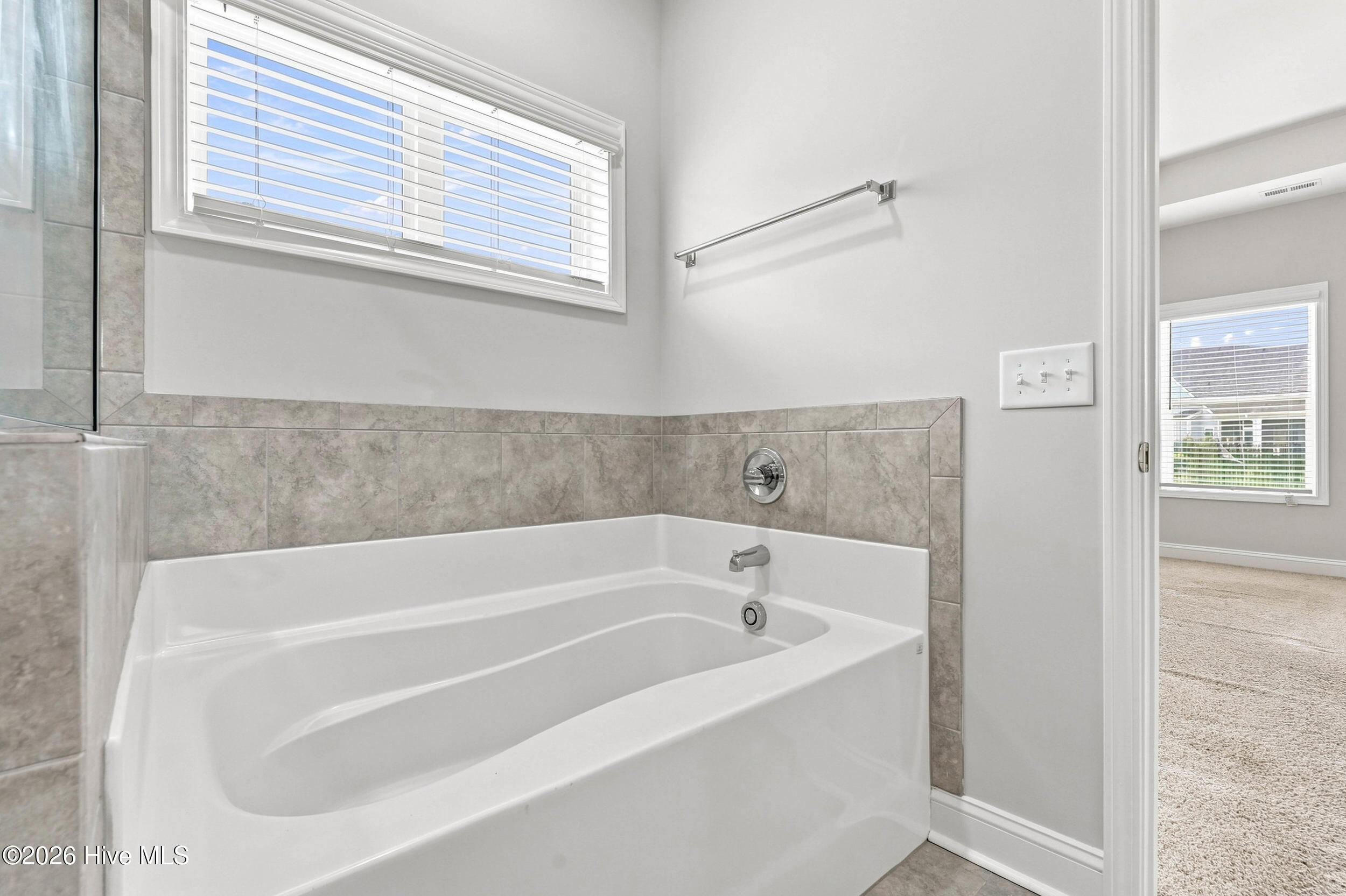 4213 Whispering Willow Cove Property Photo 50