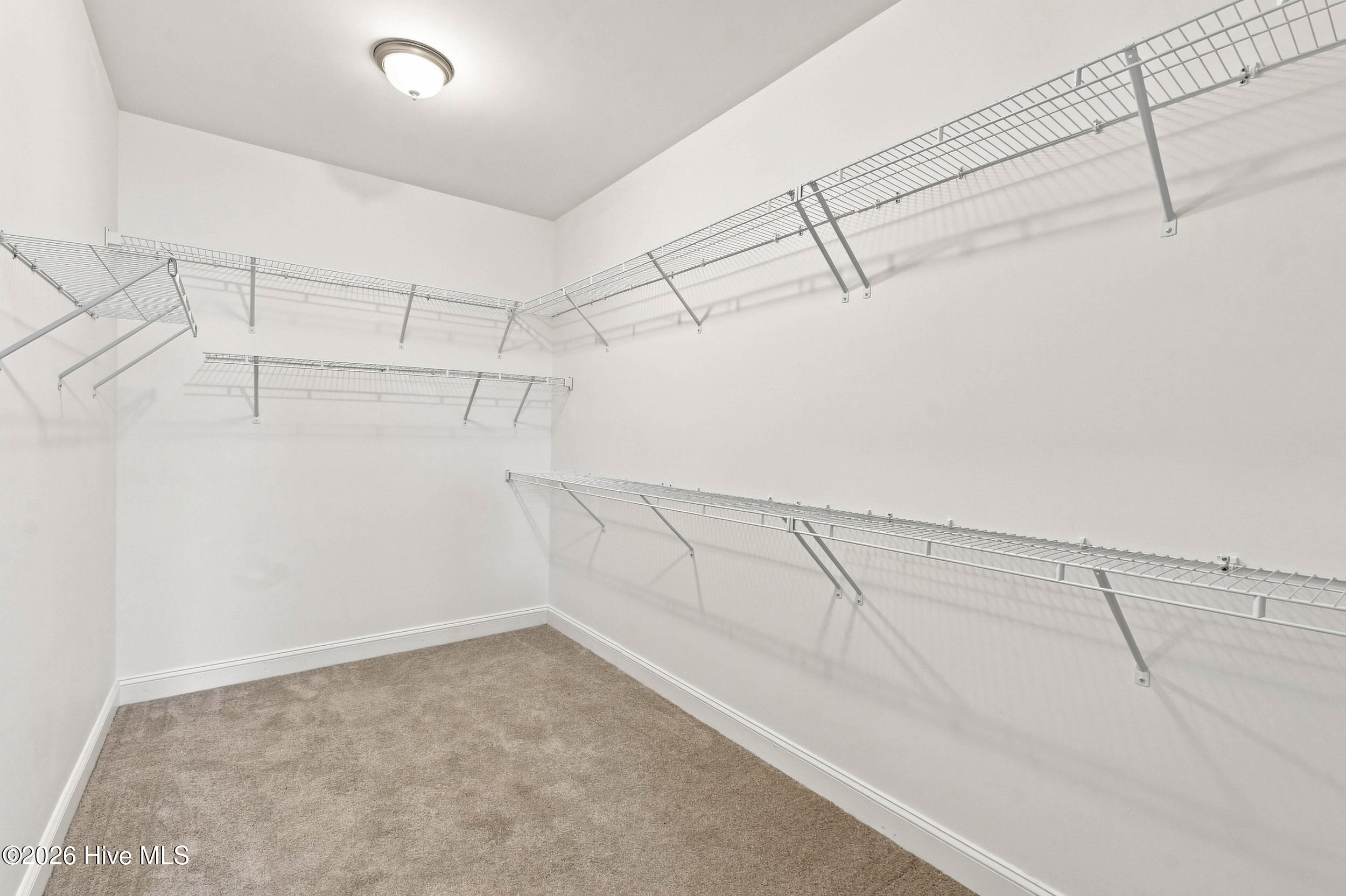 4213 Whispering Willow Cove Property Photo 53