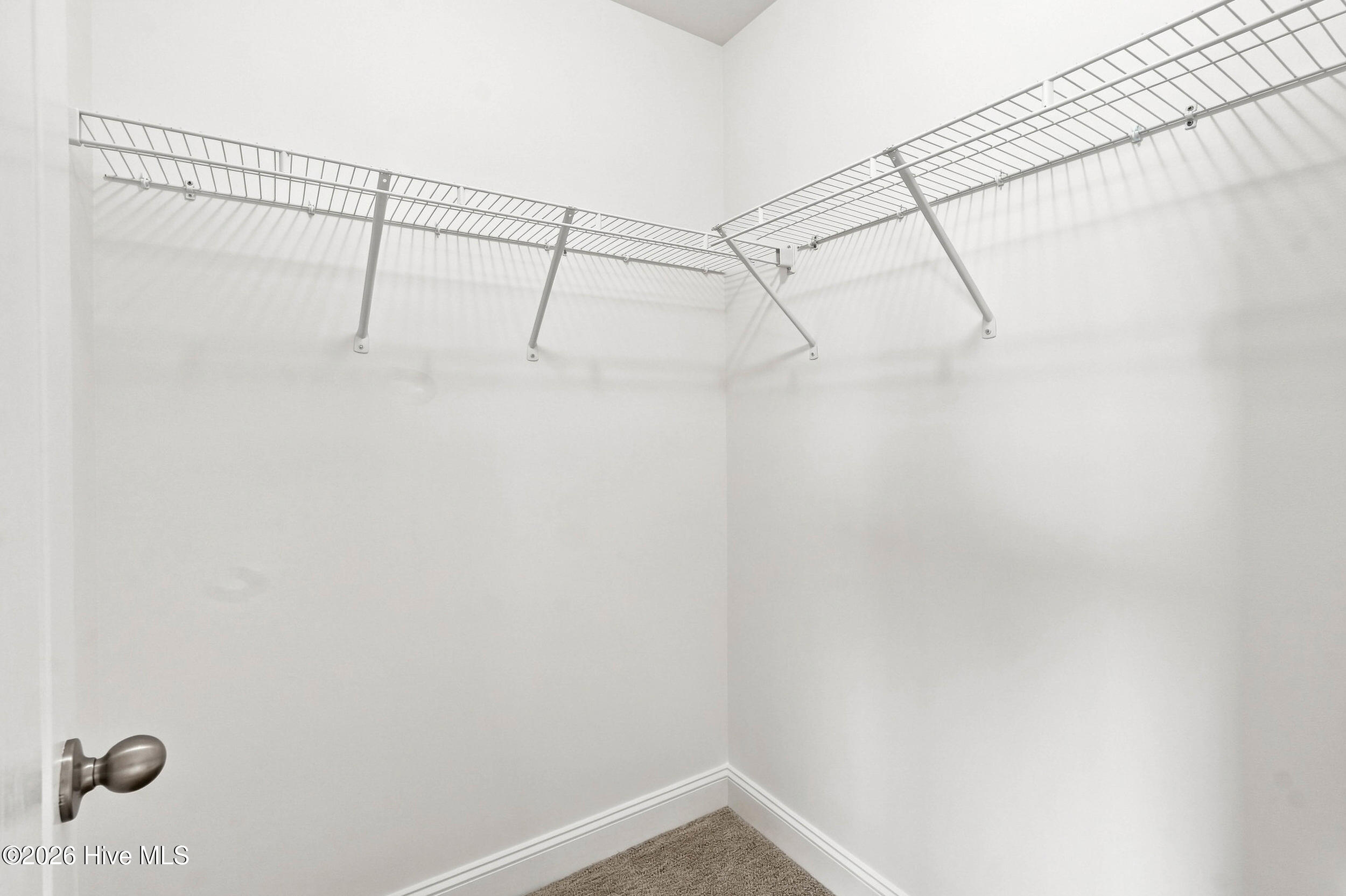 4213 Whispering Willow Cove Property Photo 67