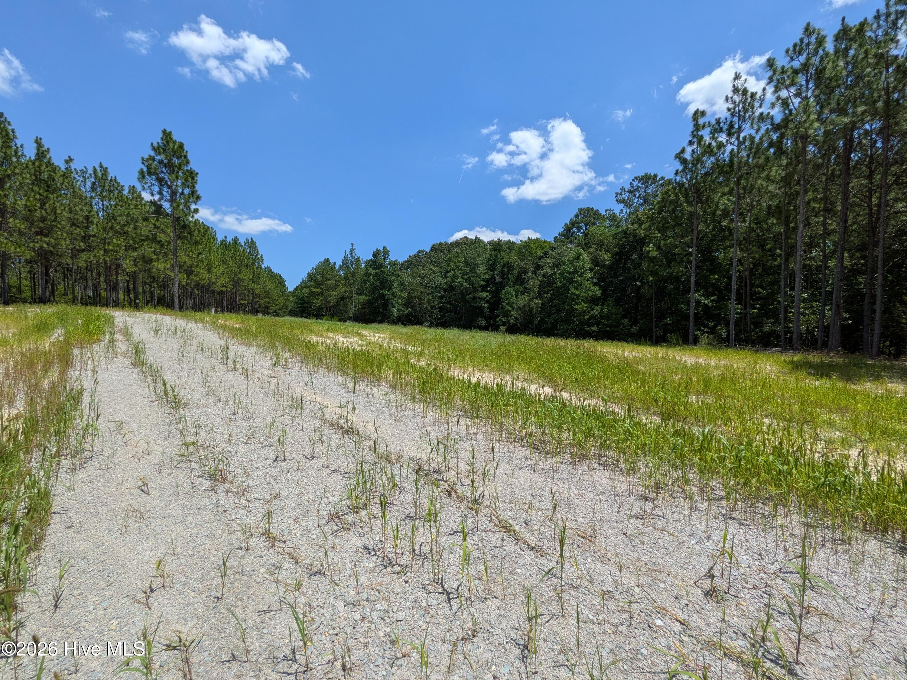 274 2r-1 Charles Road Property Photo 6