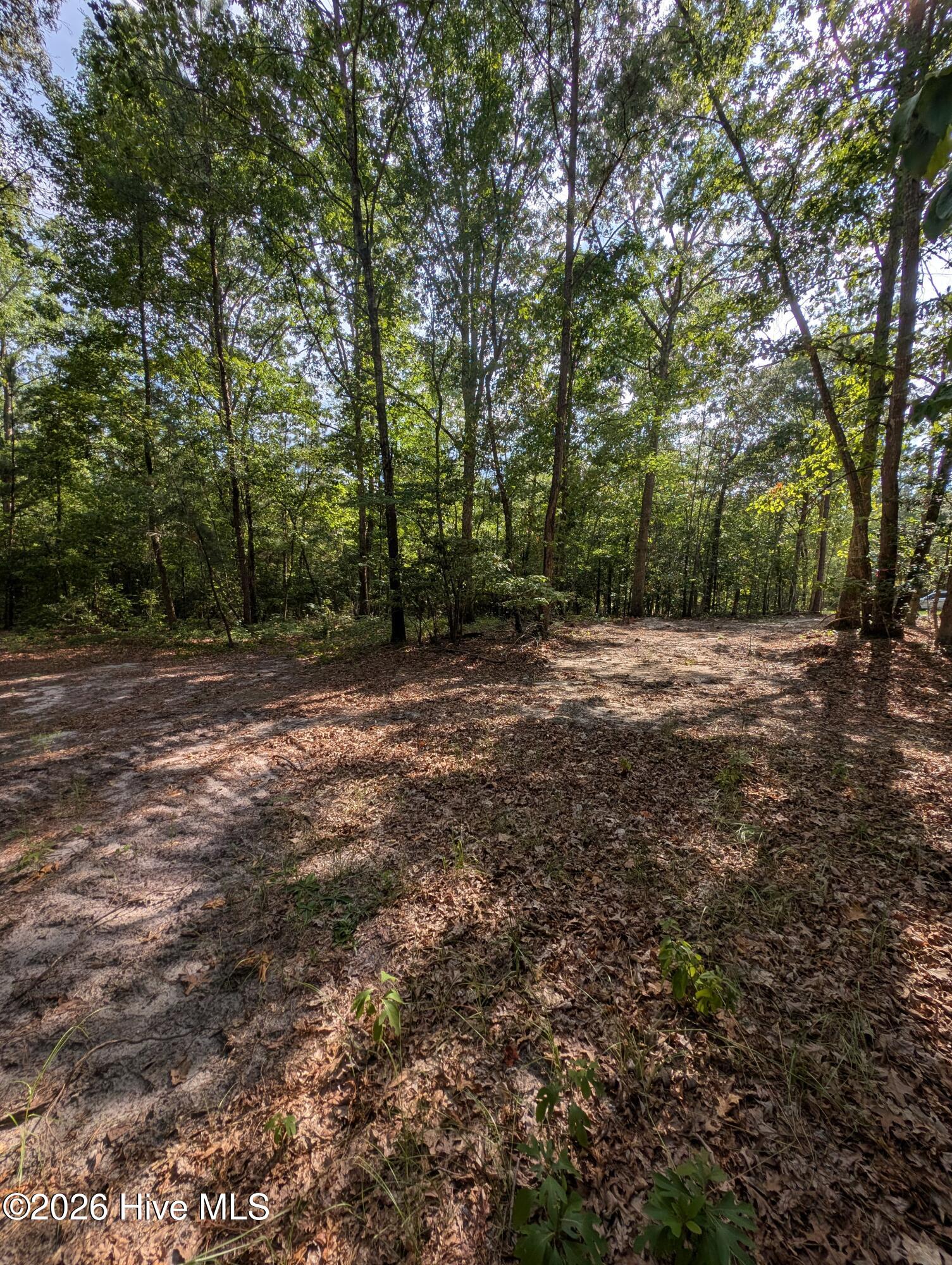 Tbd 2R-2 Peyton Drive Property Photo 1
