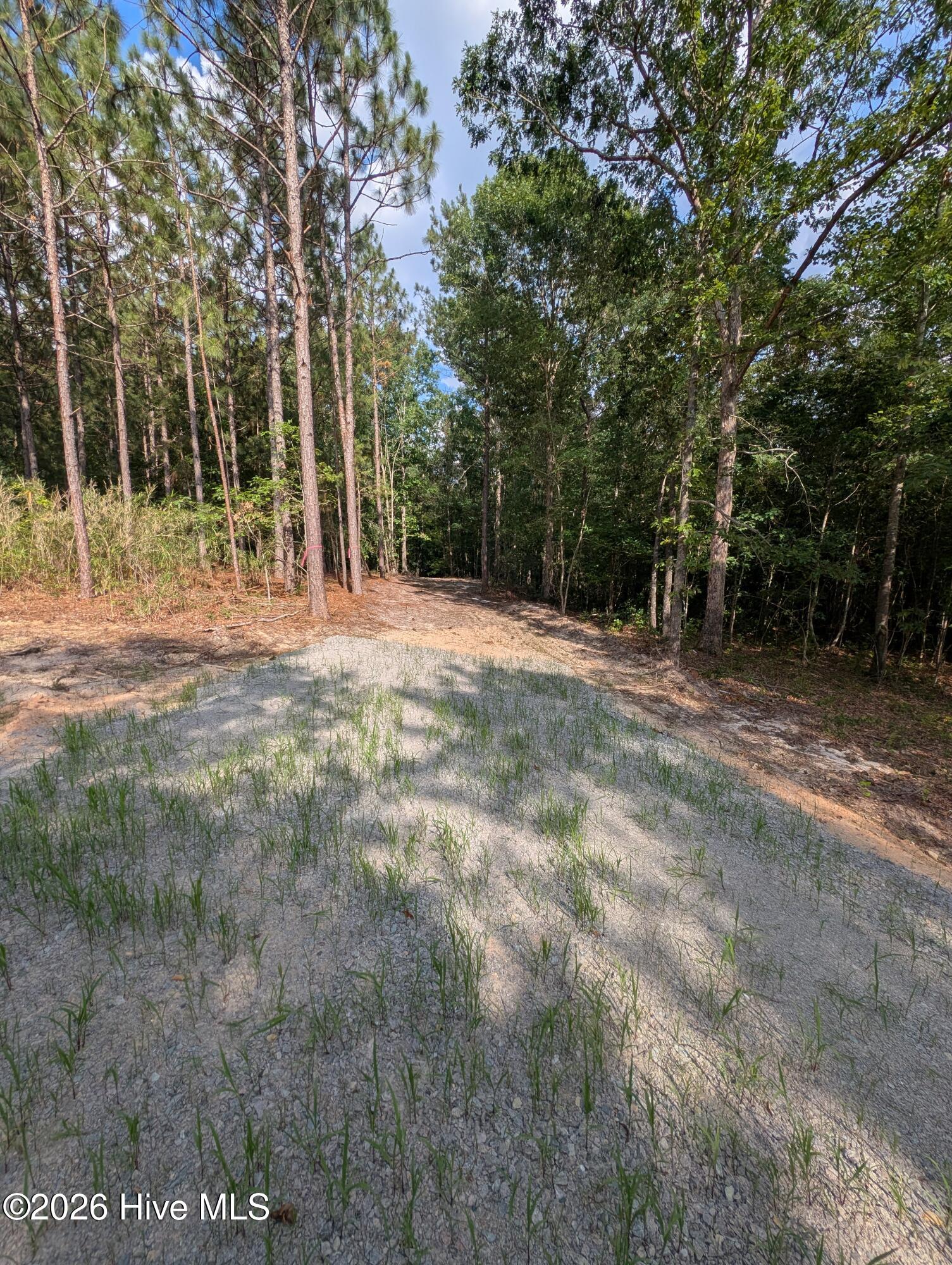 Tbd 2r-2 Peyton Drive Property Photo 2
