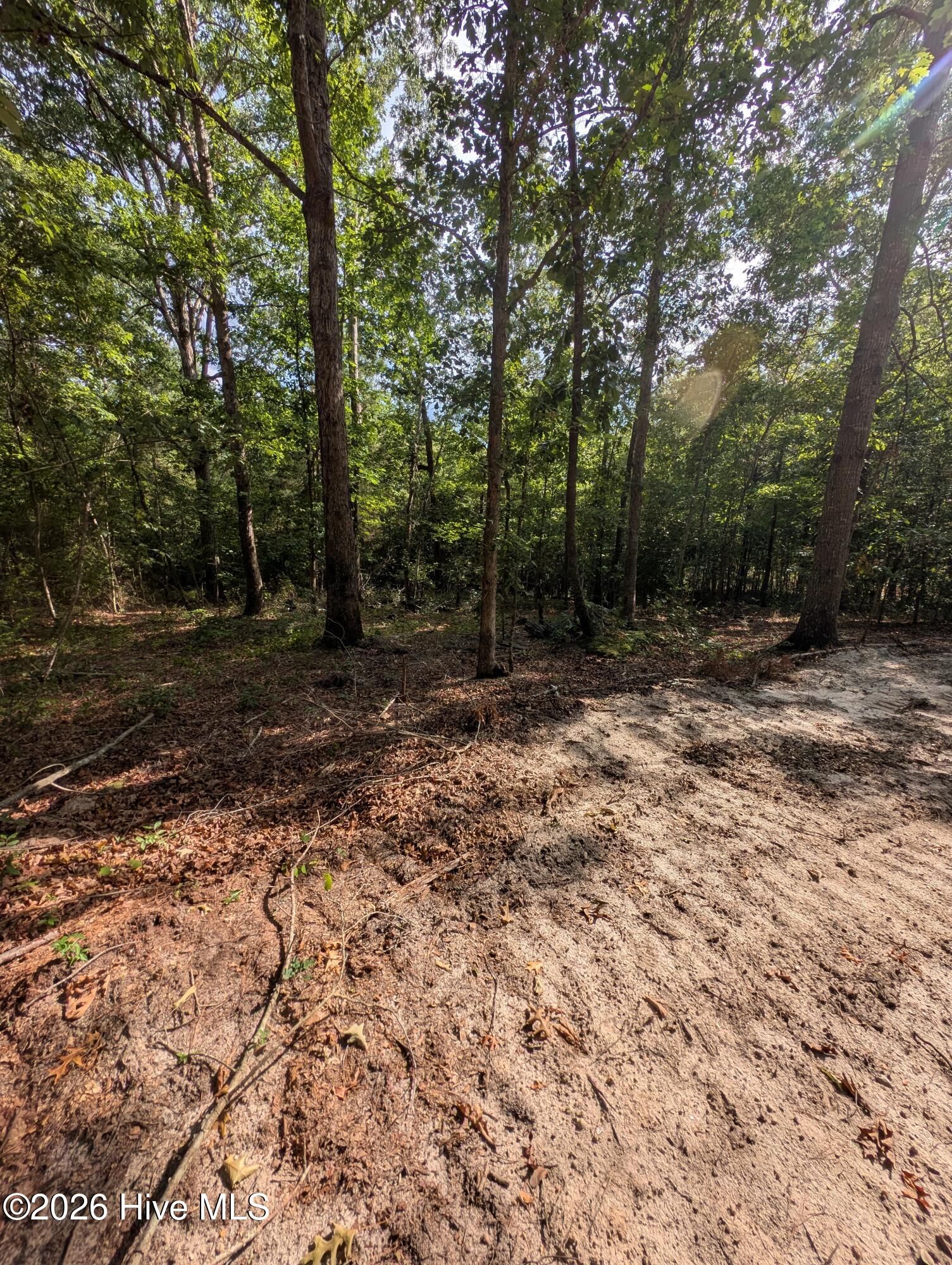 Tbd 2r-2 Peyton Drive Property Photo 3