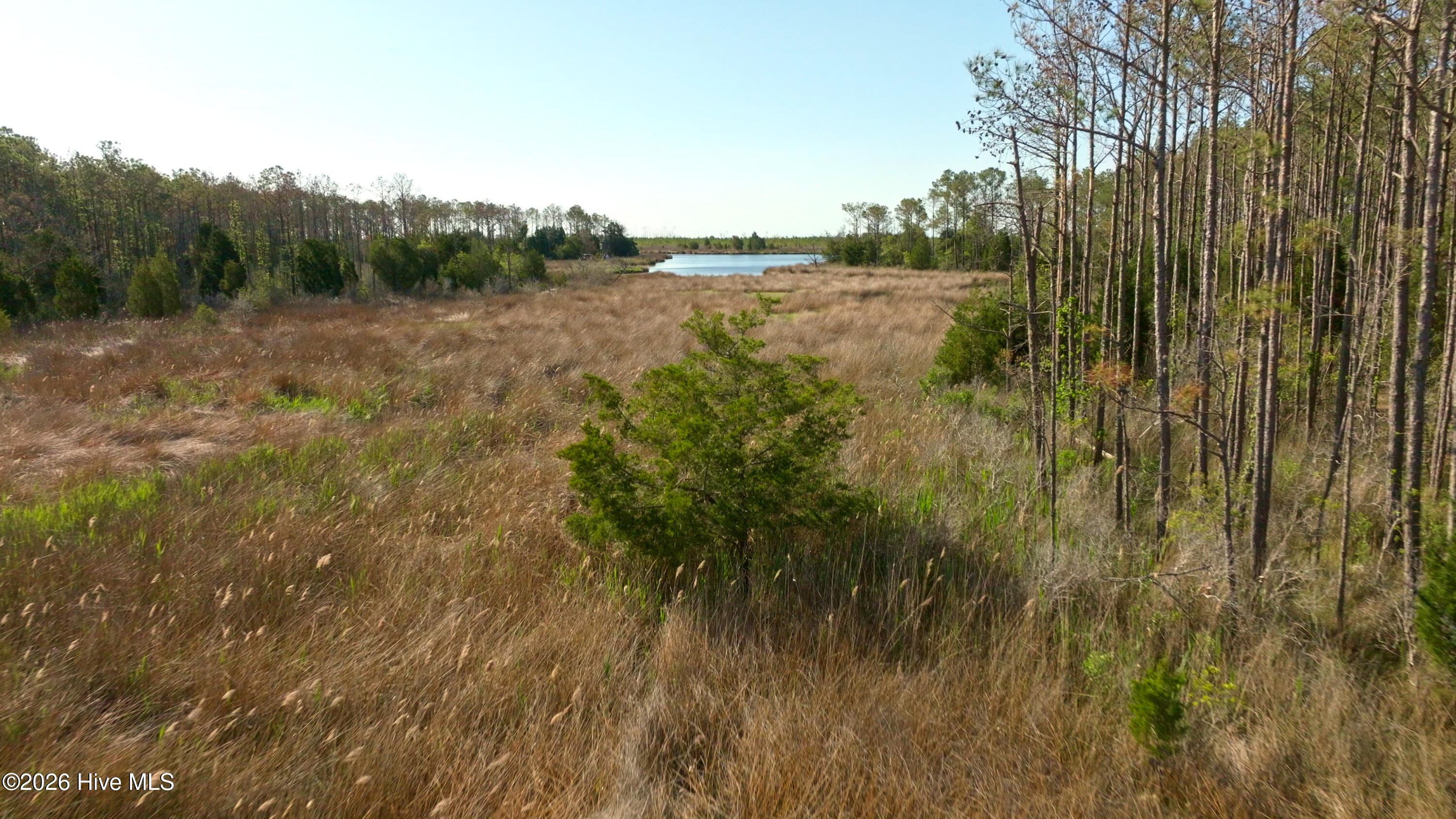 3277 Hodges Road Property Photo 9