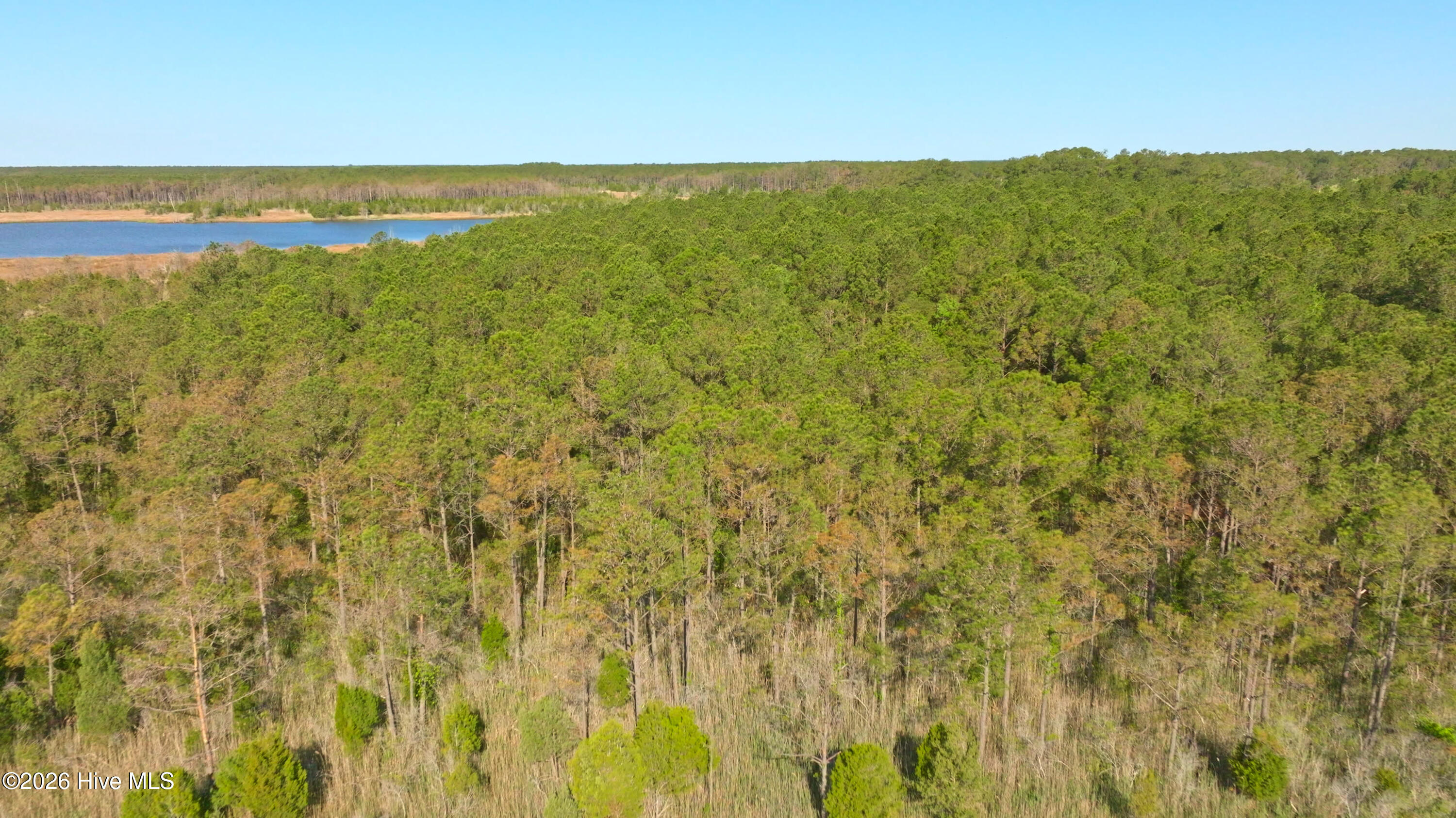 3277 Hodges Road Property Photo 21