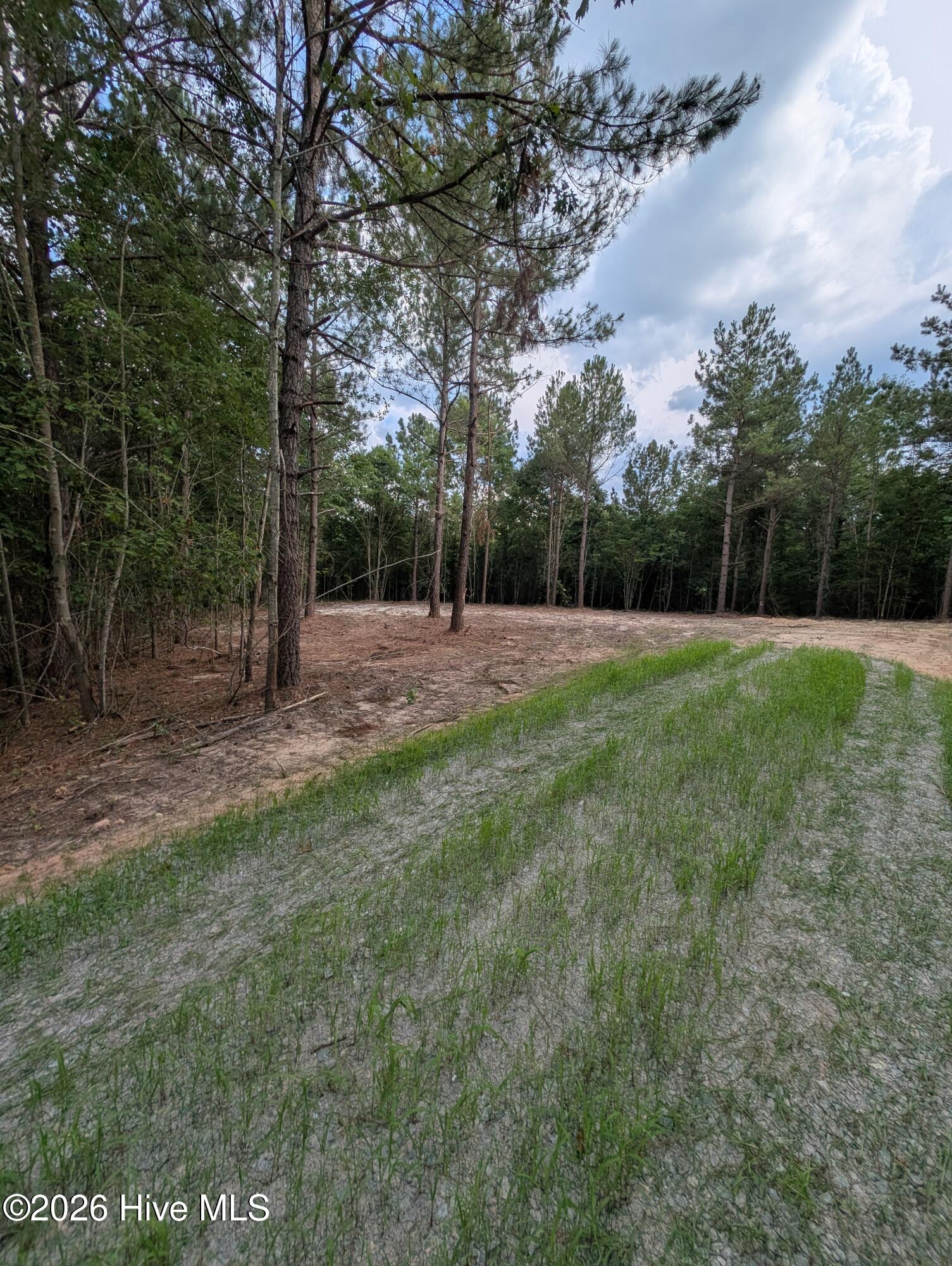 Tbd 2r-3 Peyton Drive Property Photo 3