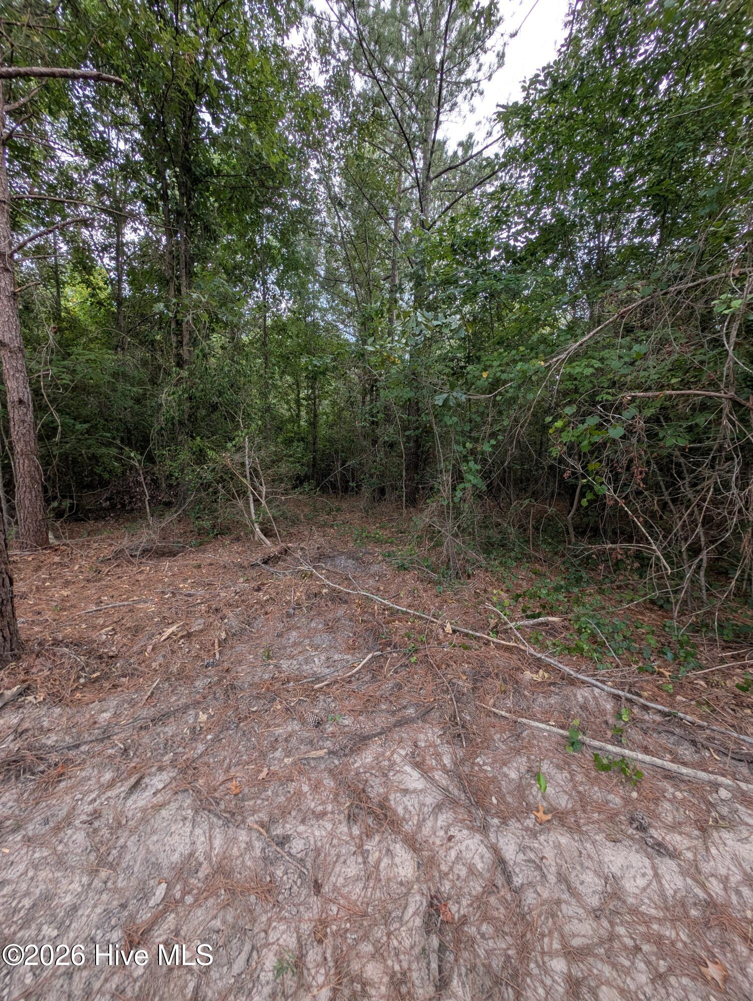 Tbd 2r-3 Peyton Drive Property Photo 6