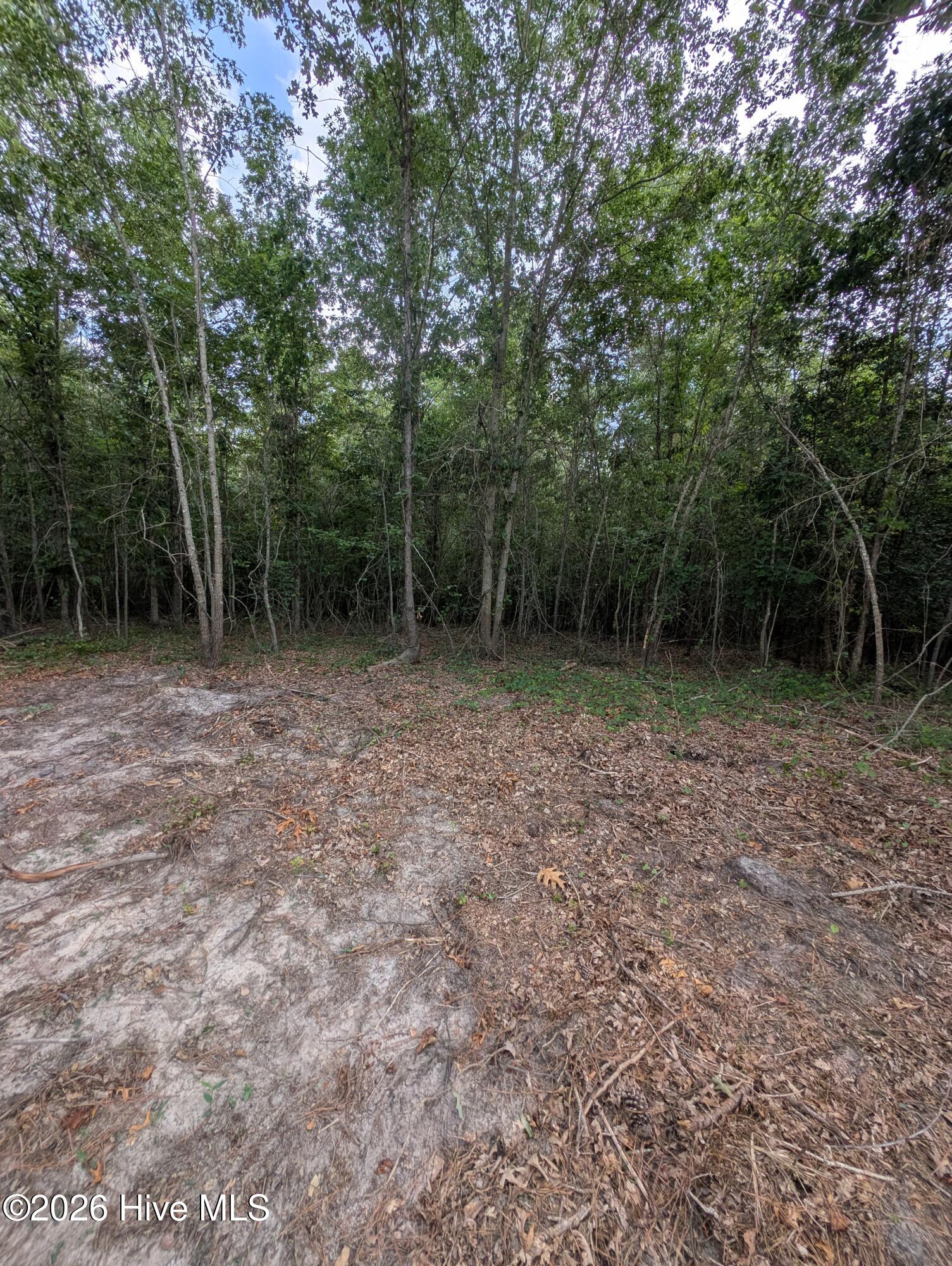Tbd 2r-3 Peyton Drive Property Photo 8