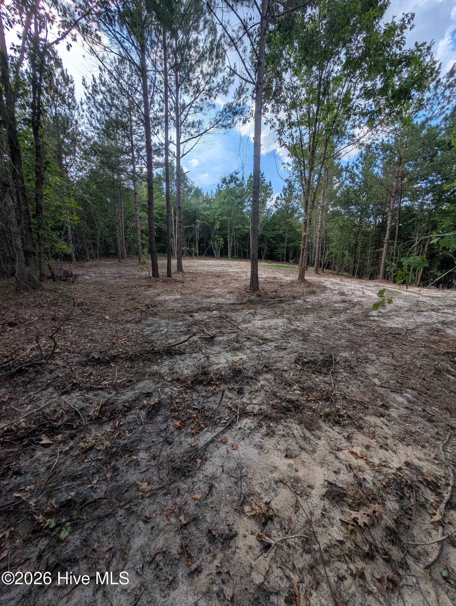 Tbd 2r-3 Peyton Drive Property Photo 9