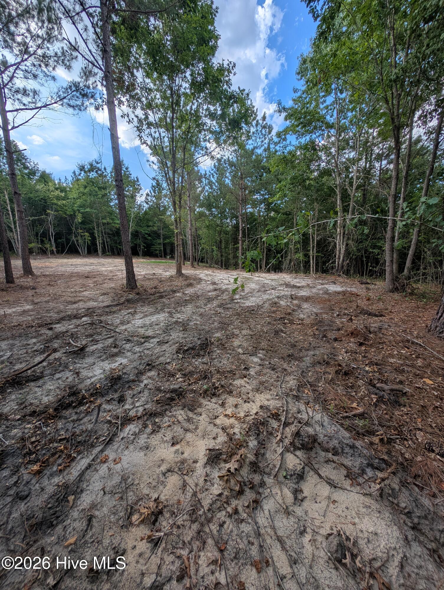 Tbd 2r-3 Peyton Drive Property Photo 10