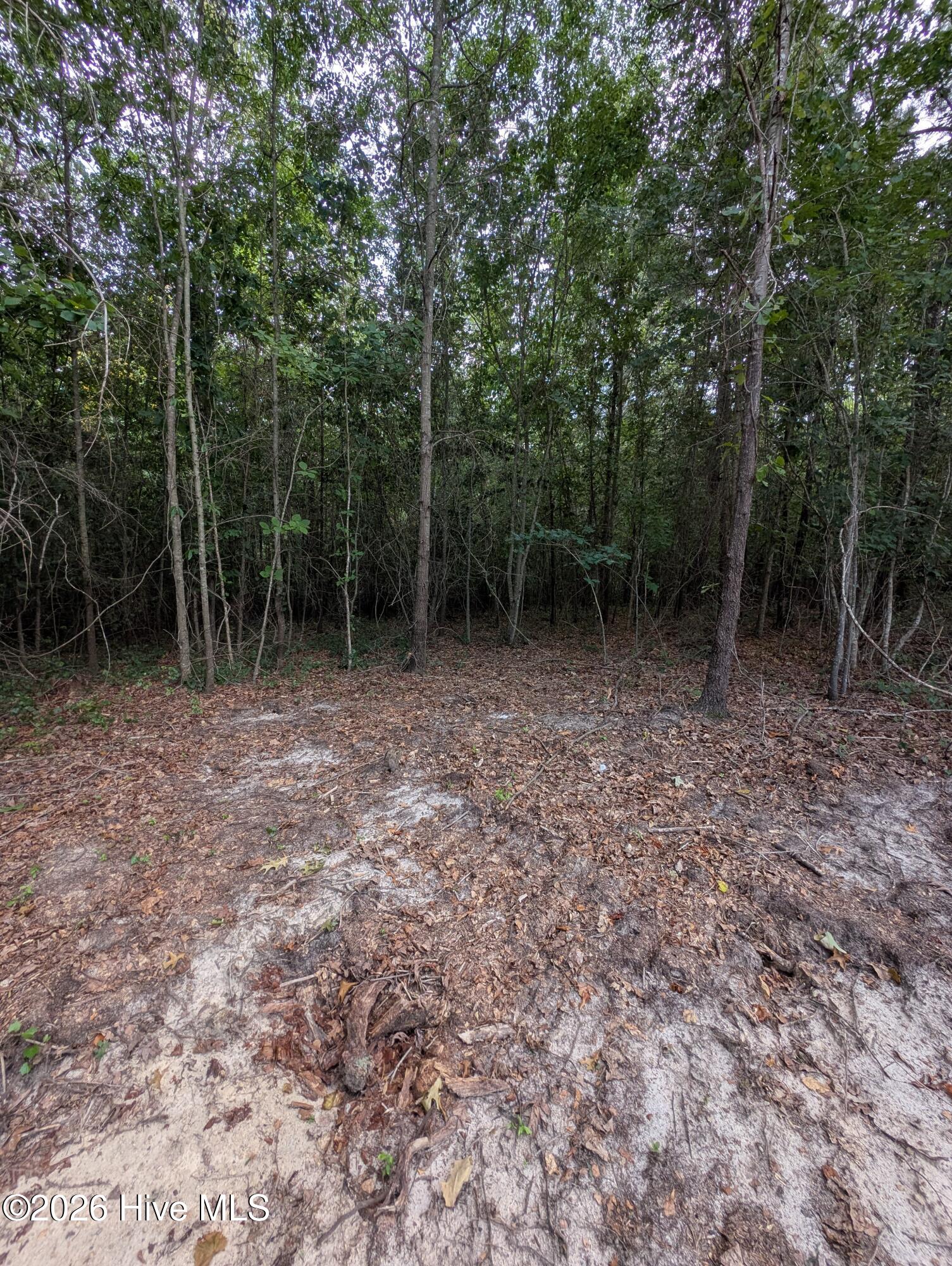 2r-4 2r-4 Peyton Drive Property Photo 6