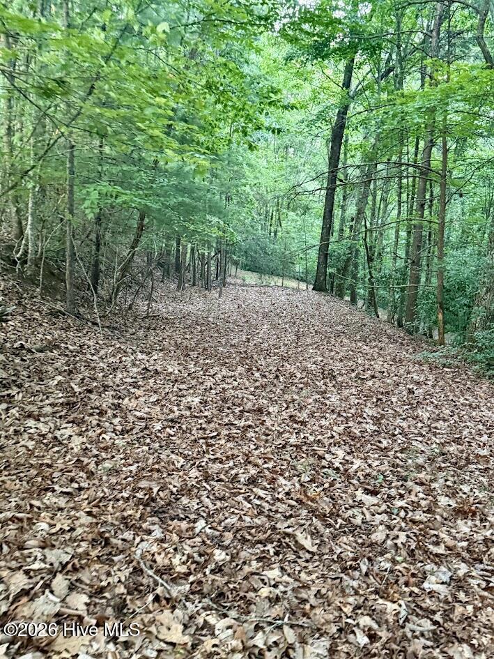 Lot 43 Pine Cove Lane Property Photo 2