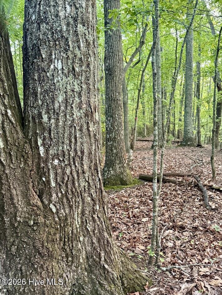 Lot 43 Pine Cove Lane Property Photo 3