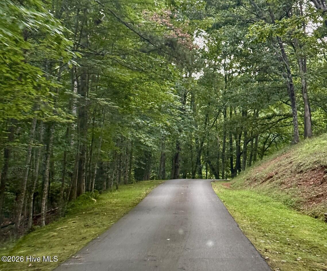 Lot 43 Pine Cove Lane Property Photo 4