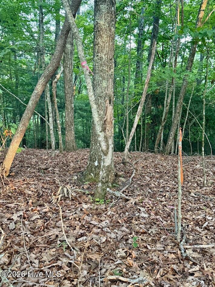 Lot 43 Pine Cove Lane Property Photo 6