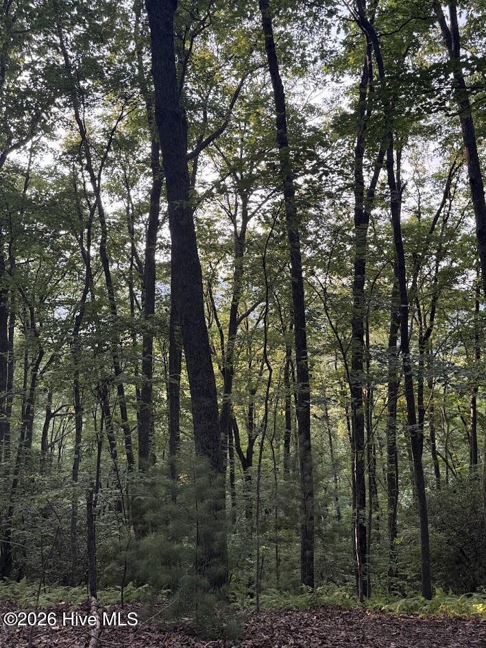Lot 43 Pine Cove Lane Property Photo 7