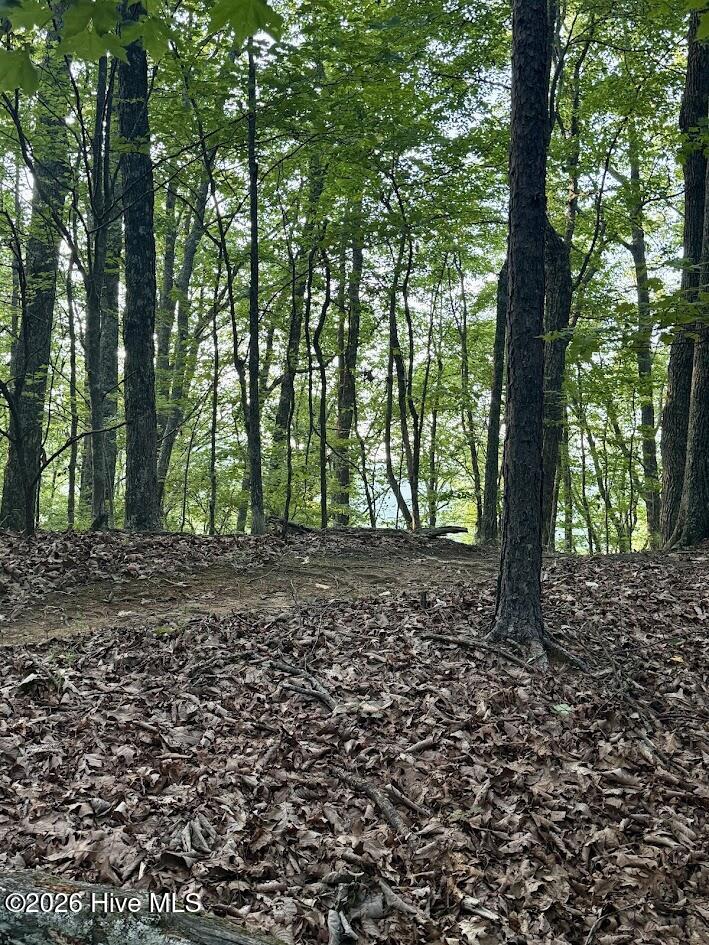 Lot 43 Pine Cove Lane Property Photo 8