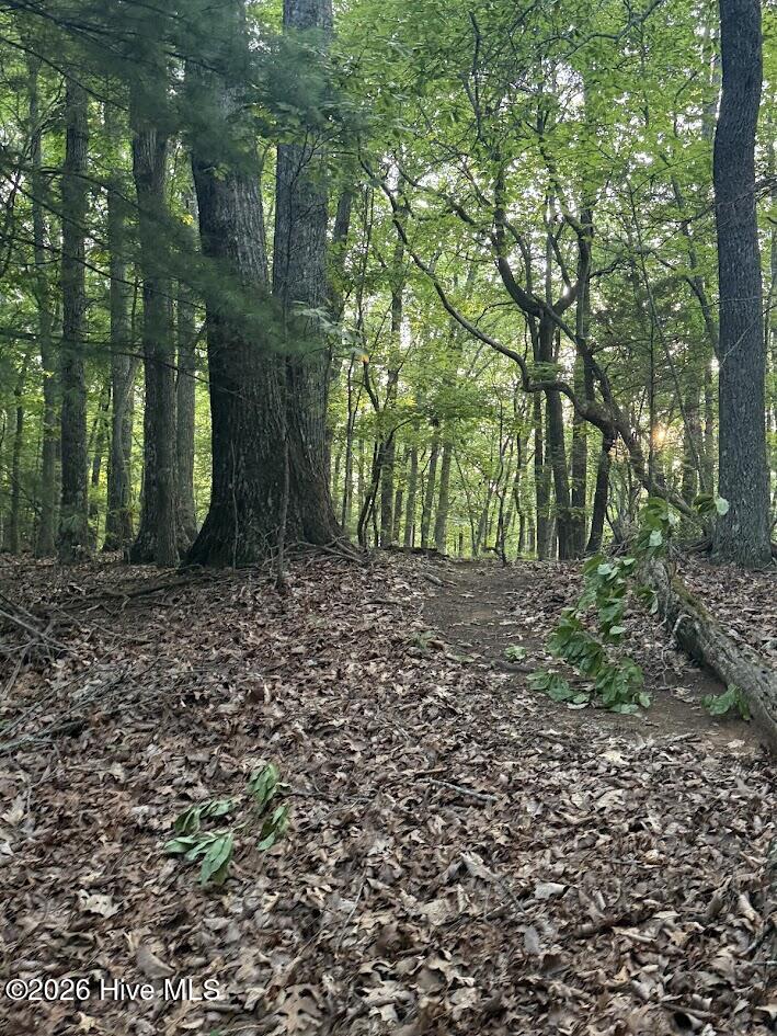 Lot 43 Pine Cove Lane Property Photo 10