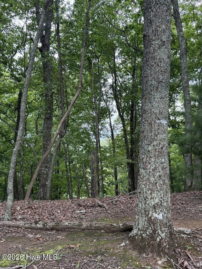Lot 43 Pine Cove Lane Property Photo 11
