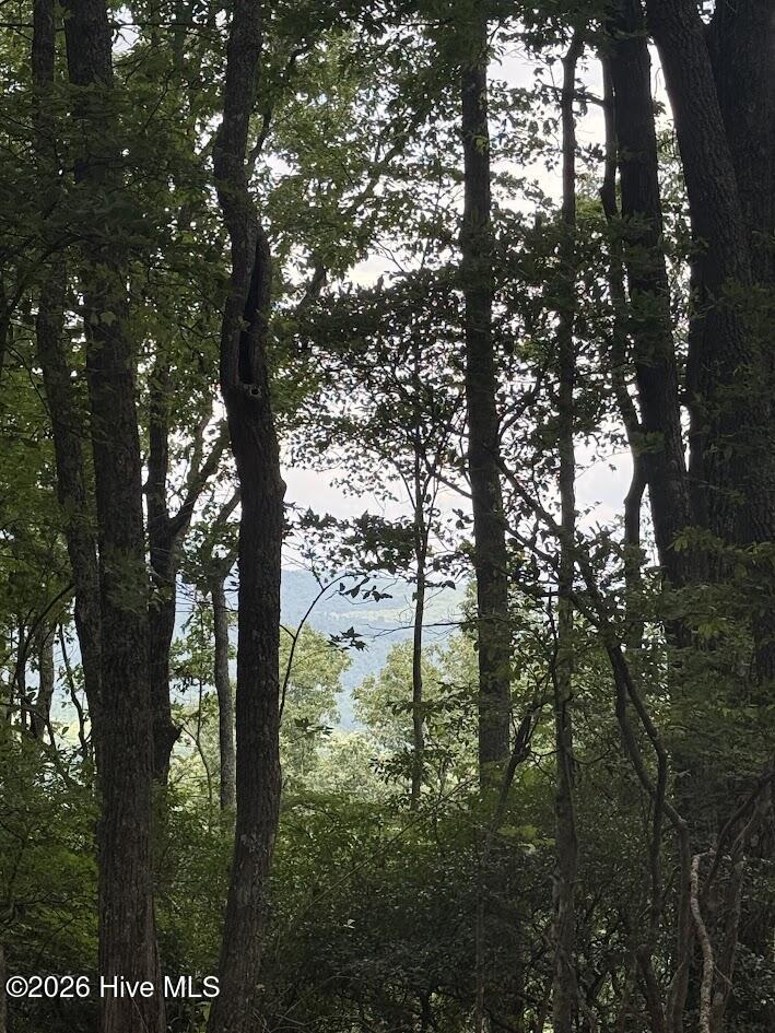 Lot 43 Pine Cove Lane Property Photo 12