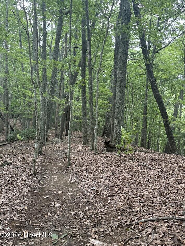 Lot 43 Pine Cove Lane Property Photo 13