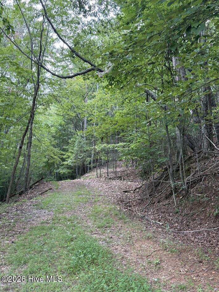 Lot 43 Pine Cove Lane Property Photo 14