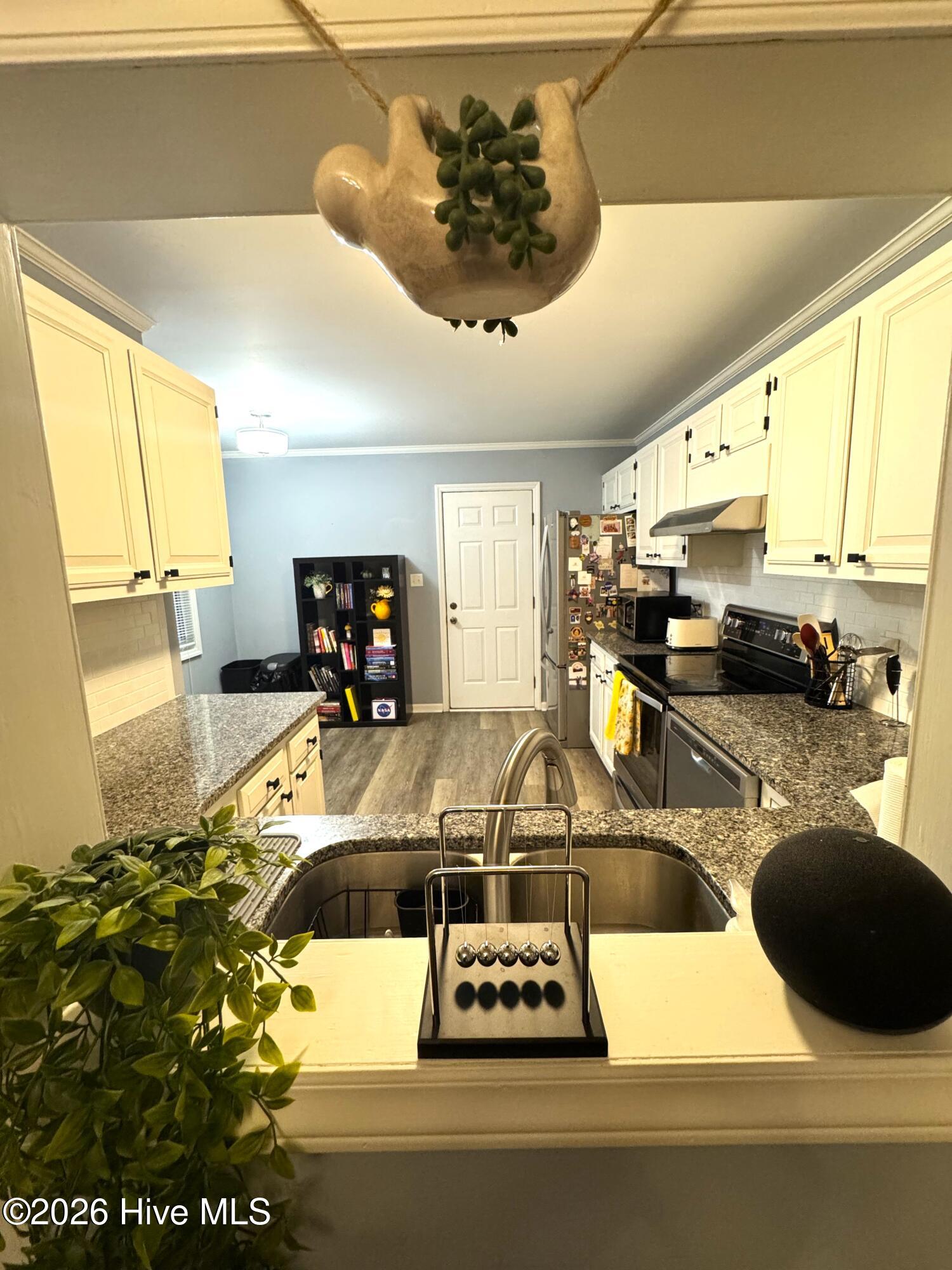 2 Palmetto Place Property Photo 4