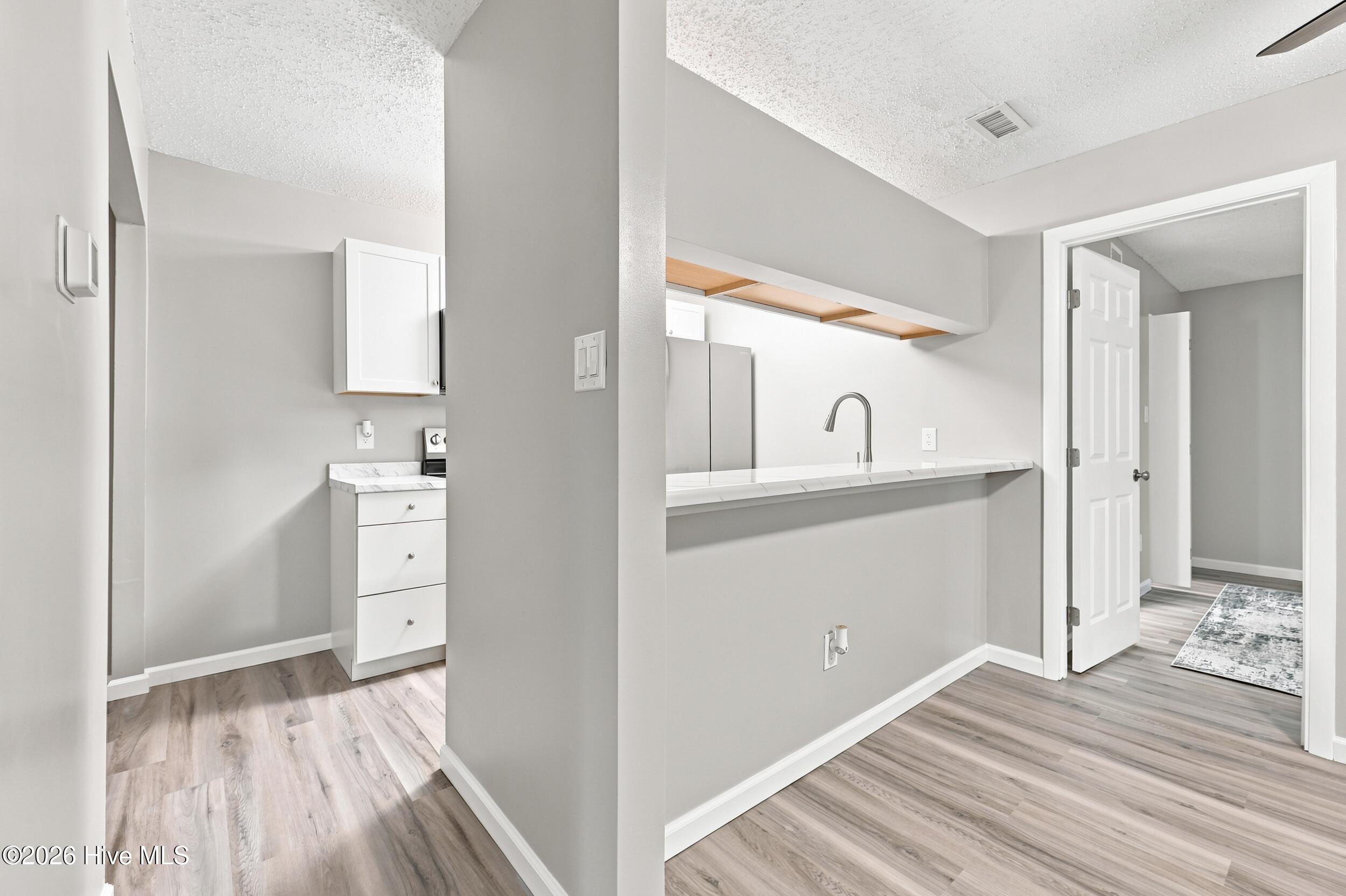 313 Thalia Station Court Property Photo 6