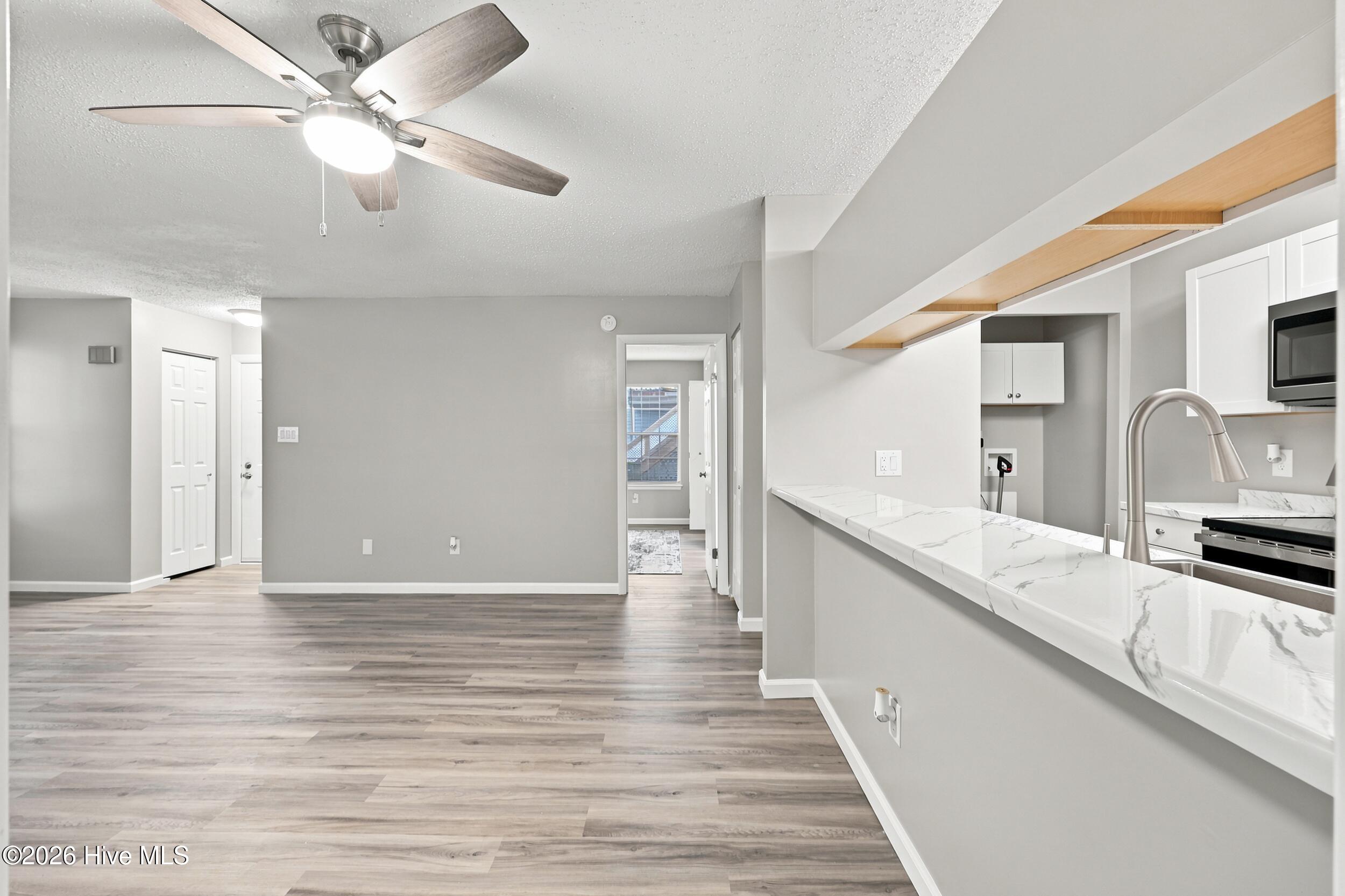 313 Thalia Station Court Property Photo 8