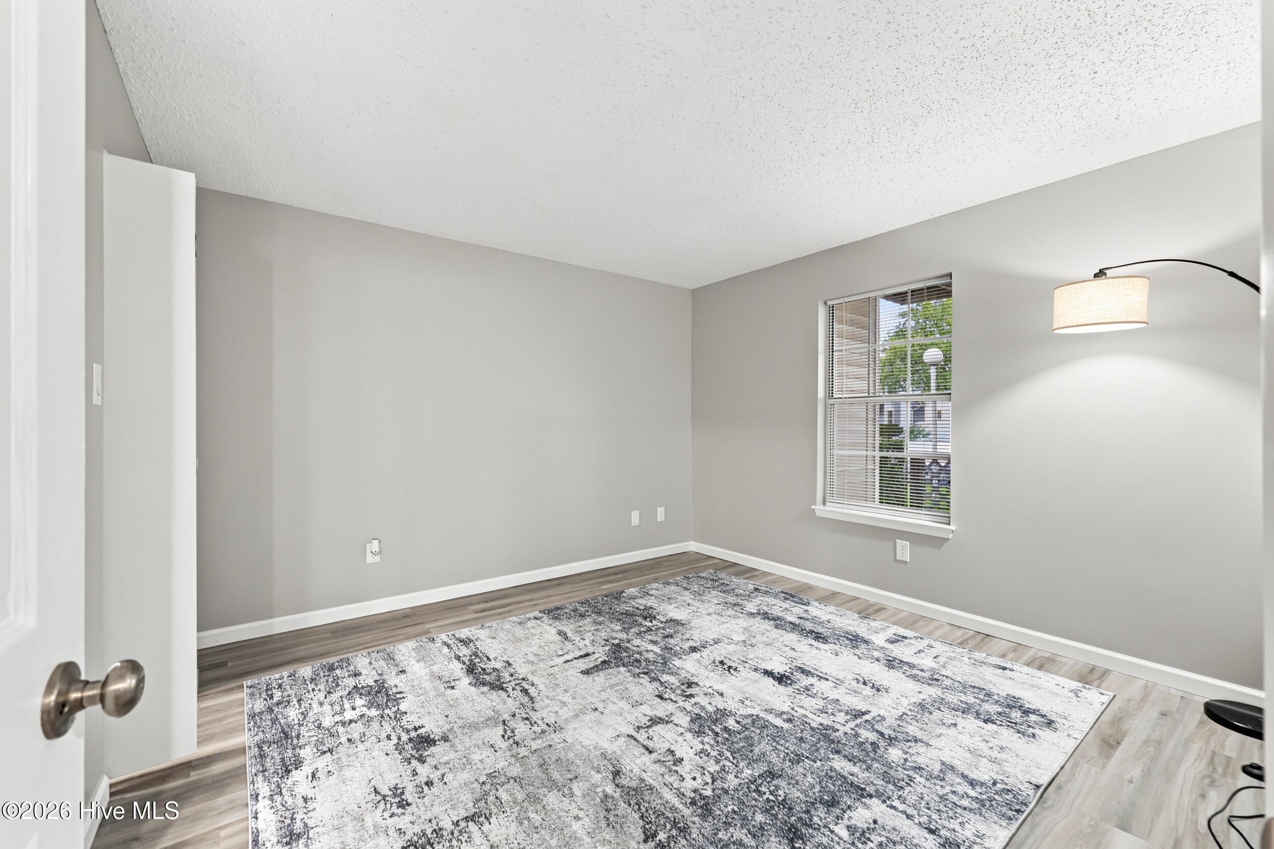 313 Thalia Station Court Property Photo 13