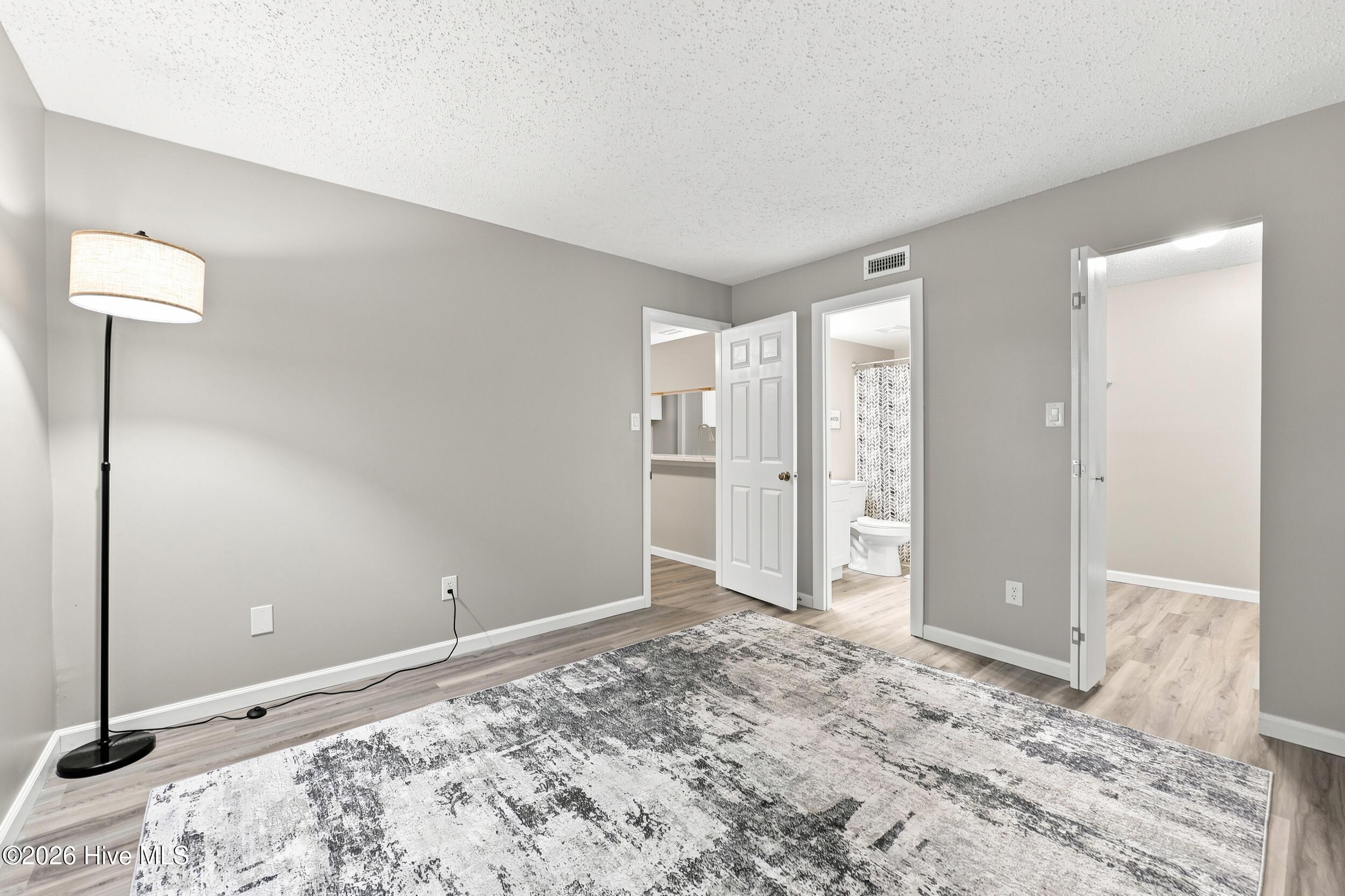 313 Thalia Station Court Property Photo 14
