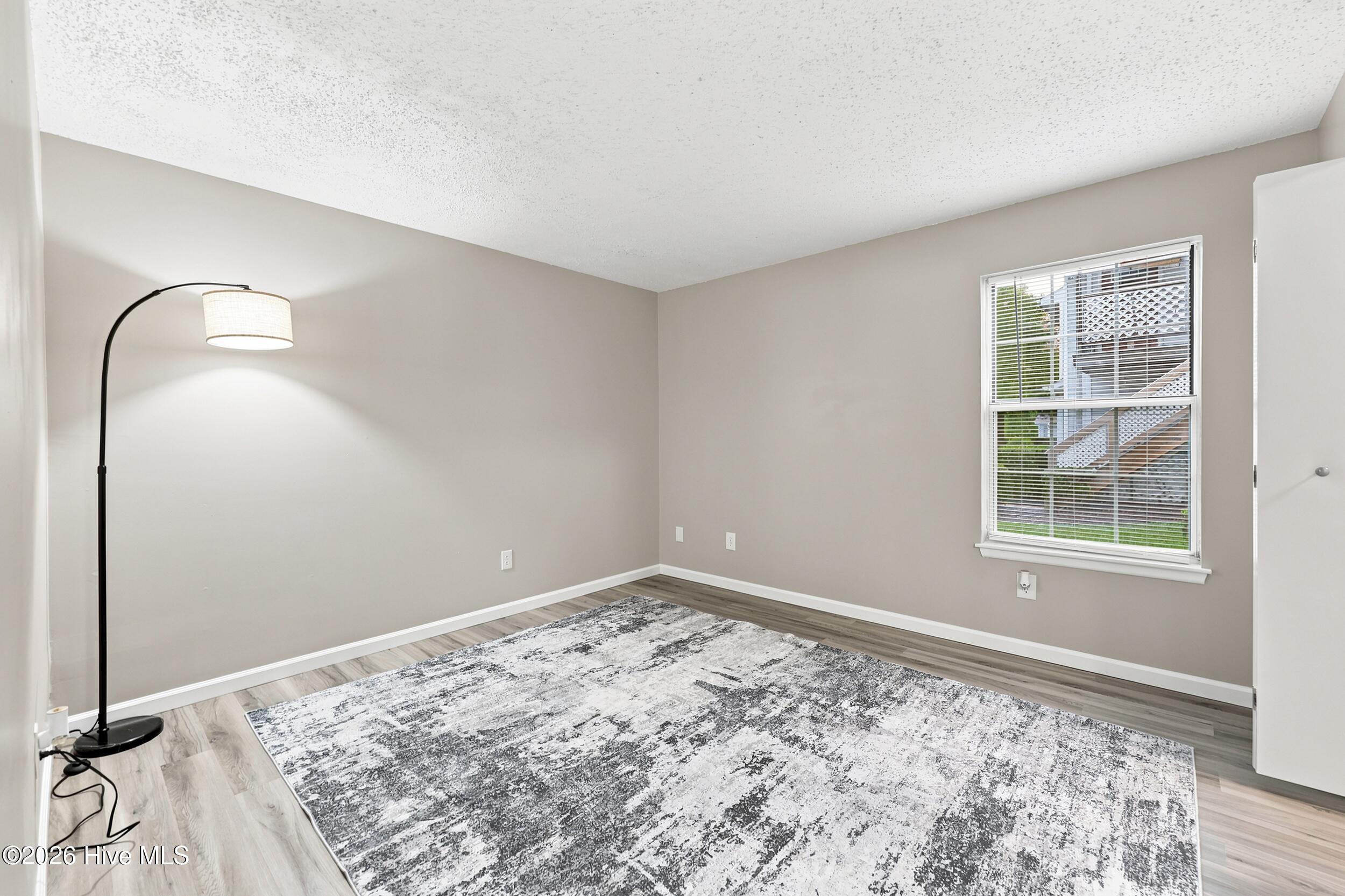313 Thalia Station Court Property Photo 15