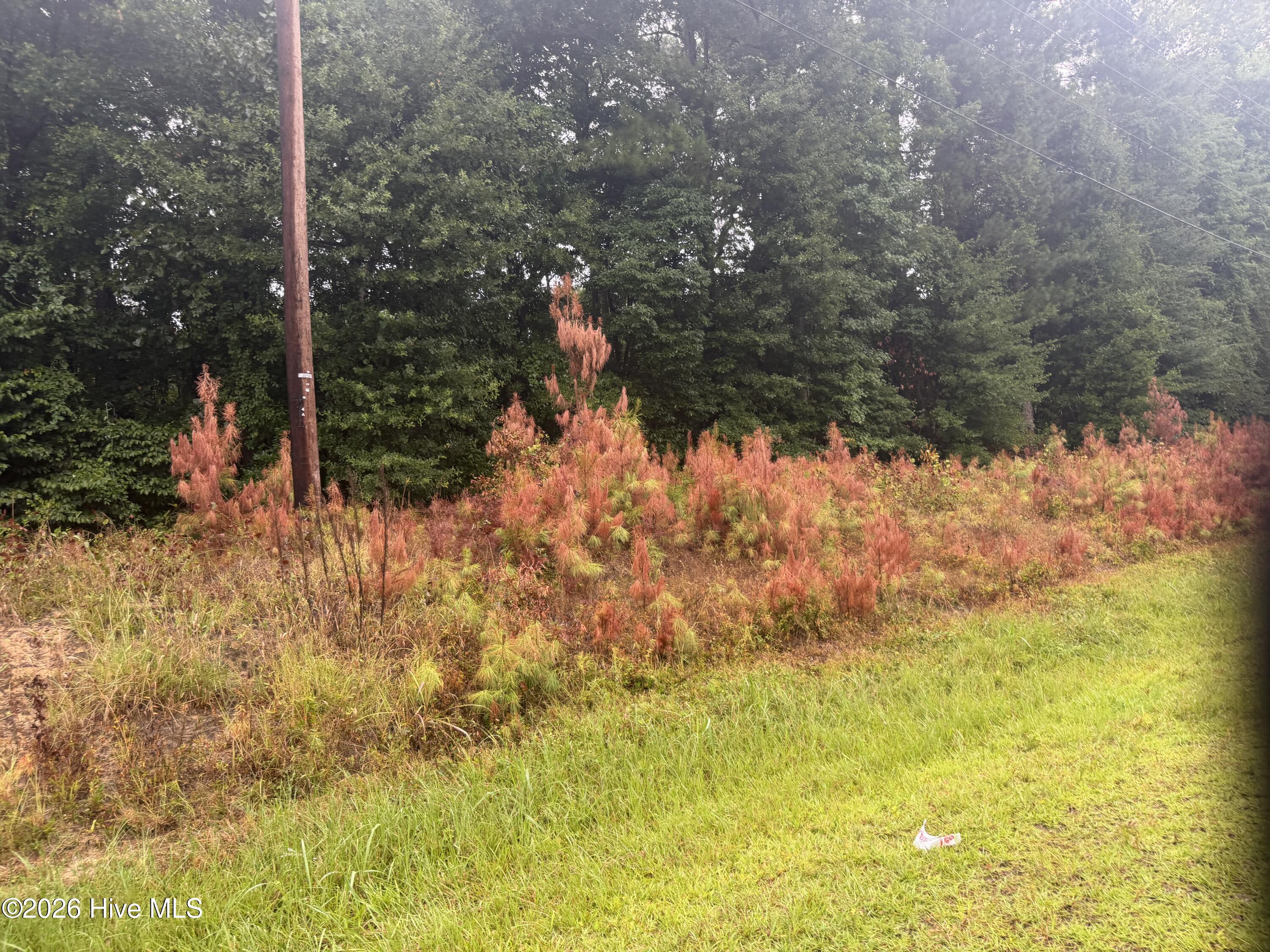 000 Richlands Highway Property Photo 3