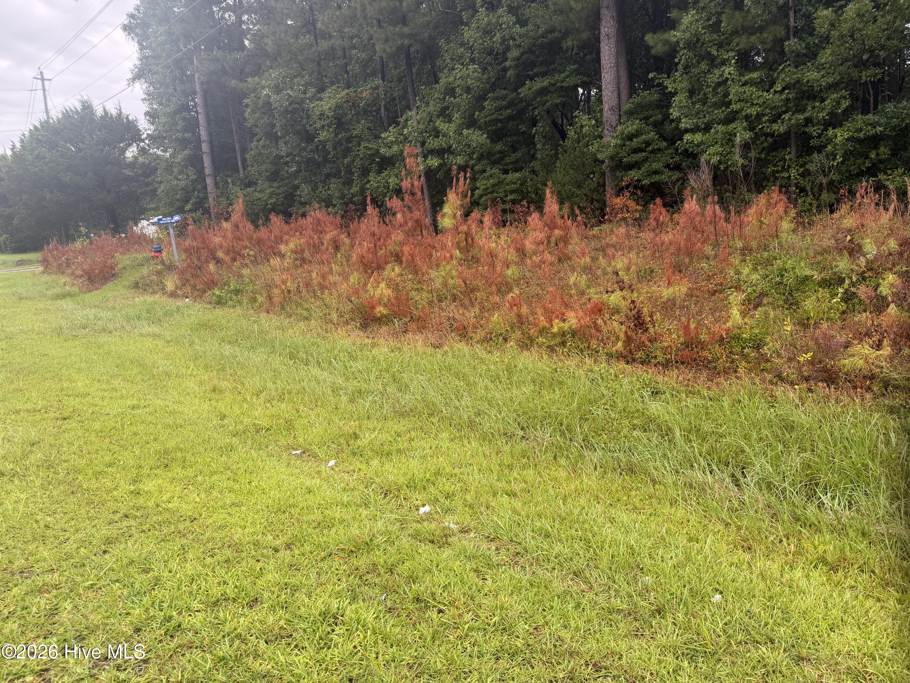 000 Richlands Highway Property Photo 4