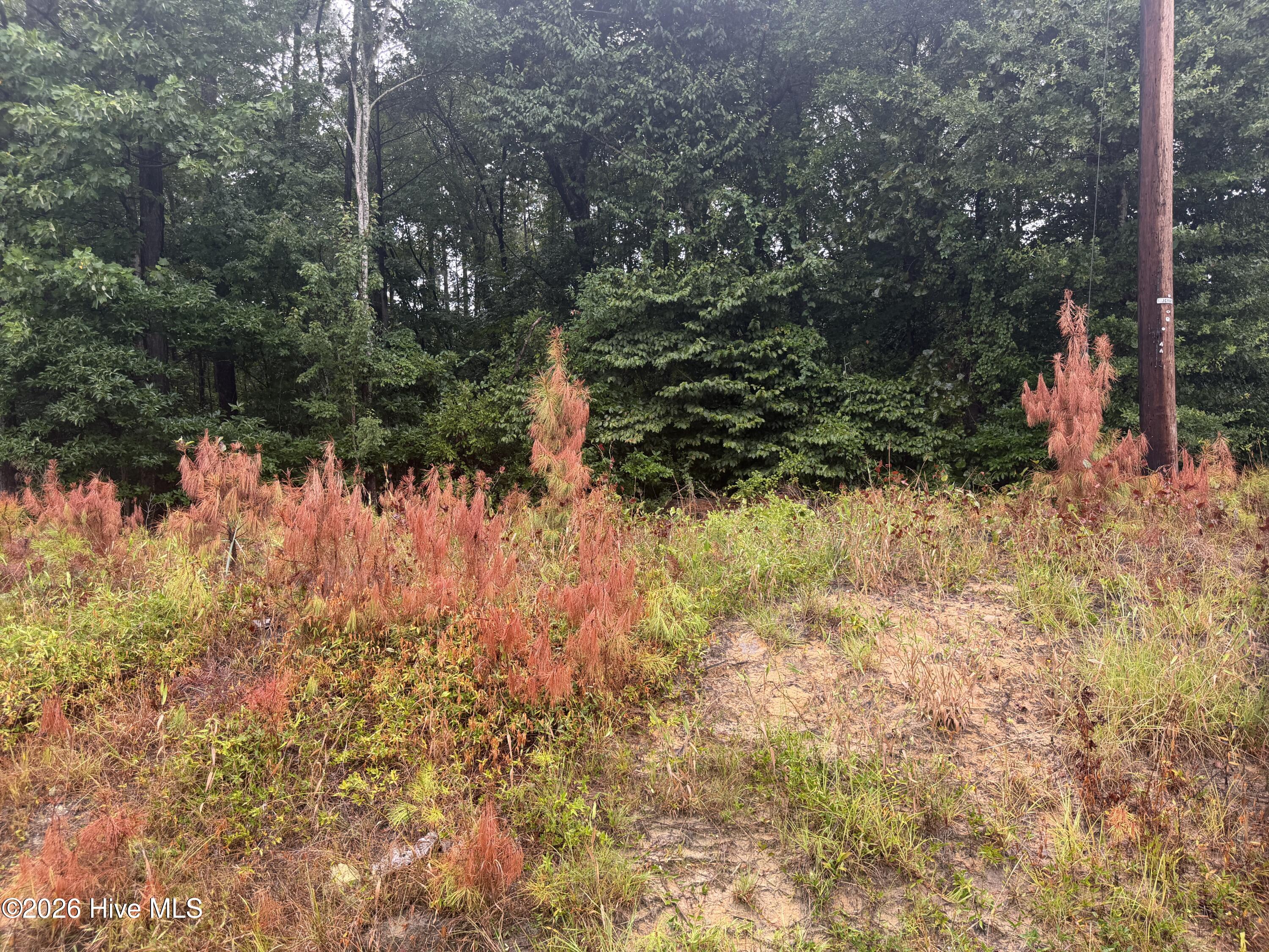 000 Richlands Highway Property Photo 6
