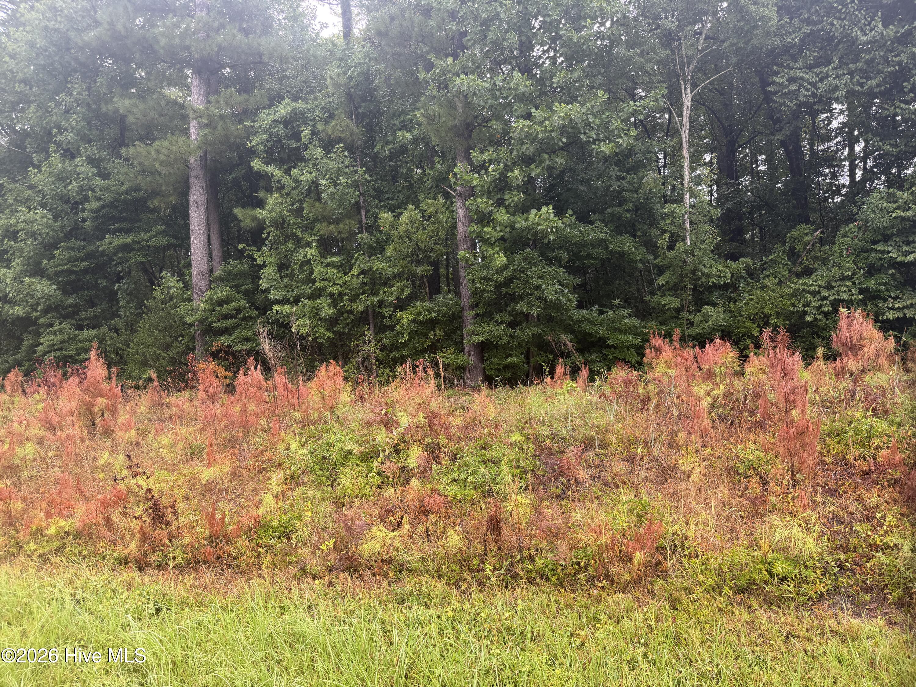 000 Richlands Highway Property Photo 7