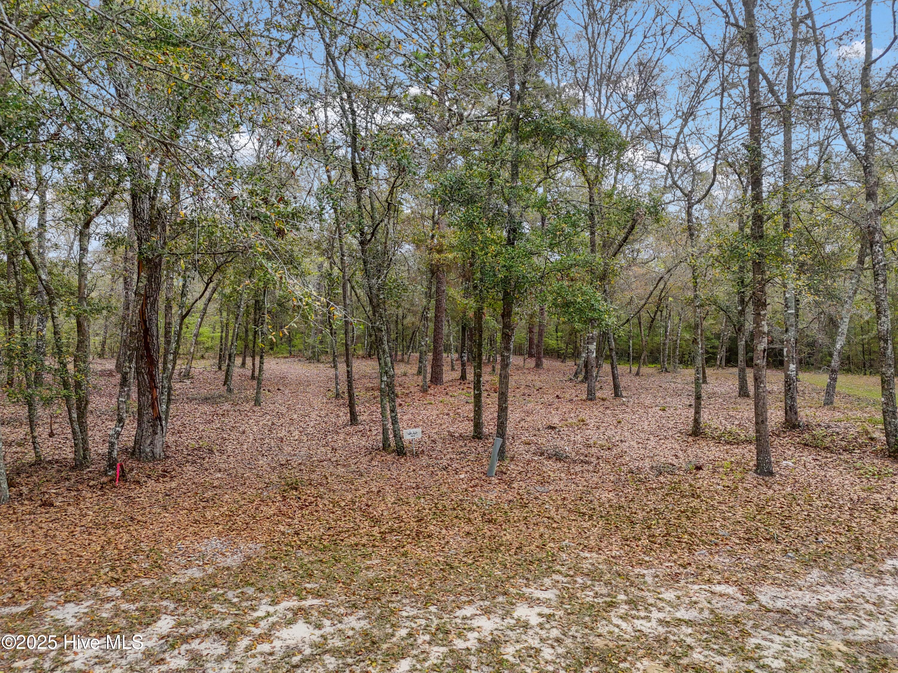 584 Asphodel Drive Sw Property Photo 1