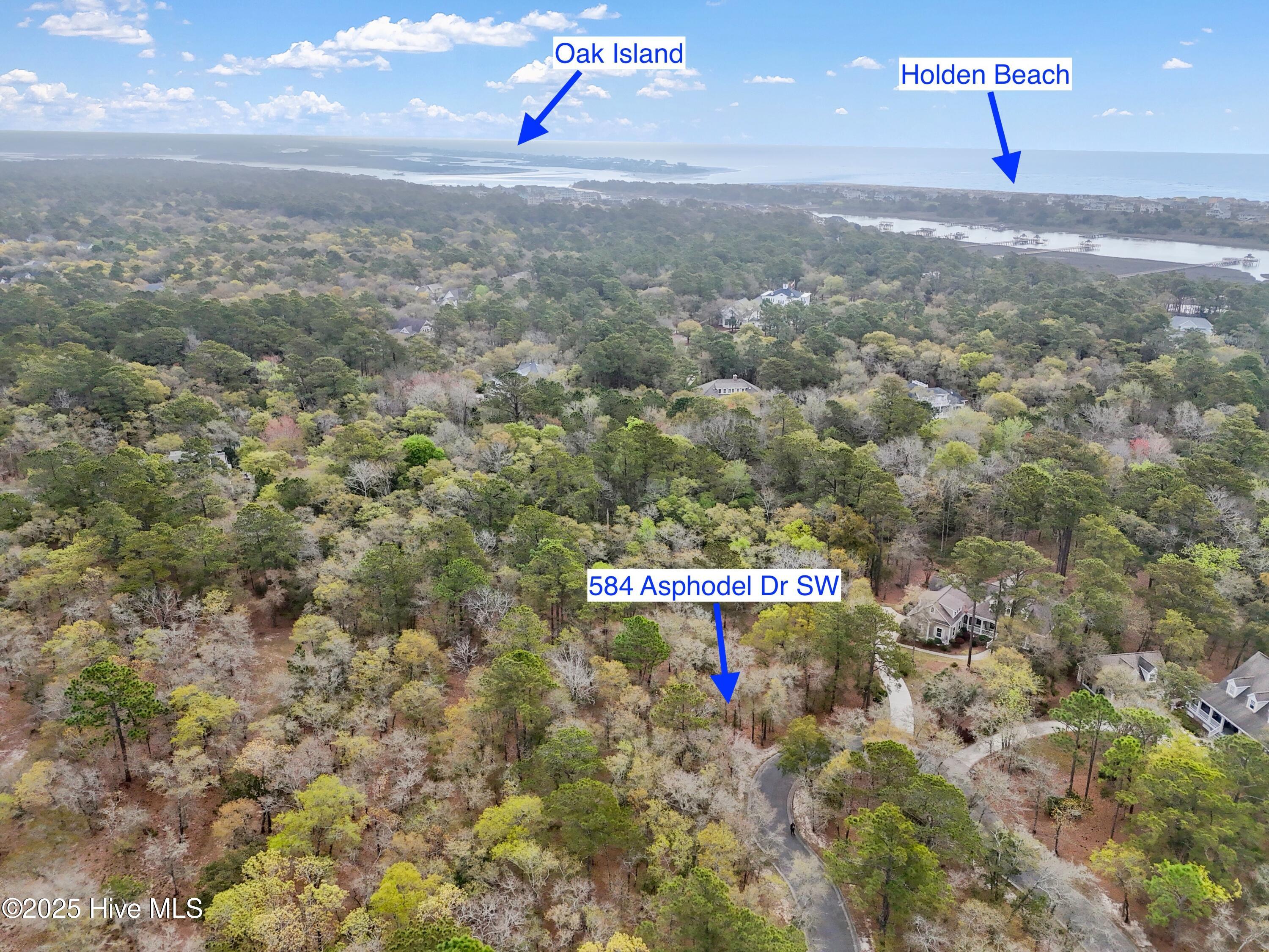 584 Asphodel Drive Sw Property Photo 5