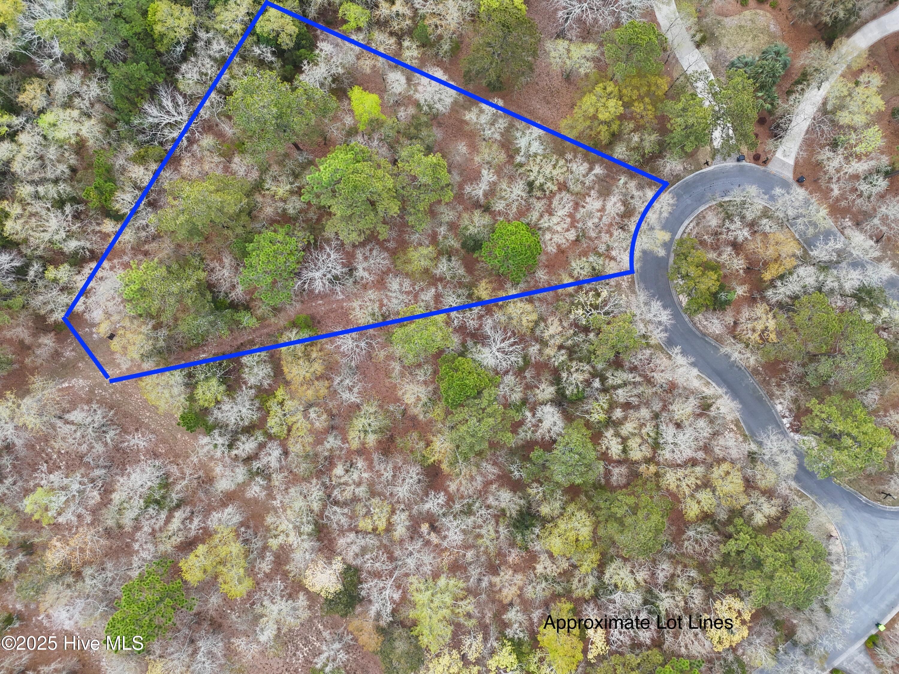 584 Asphodel Drive Sw Property Photo 6