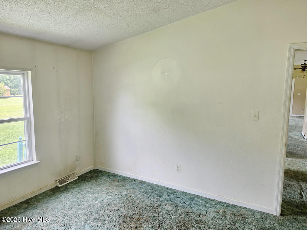 38 Banks Road Property Photo 19