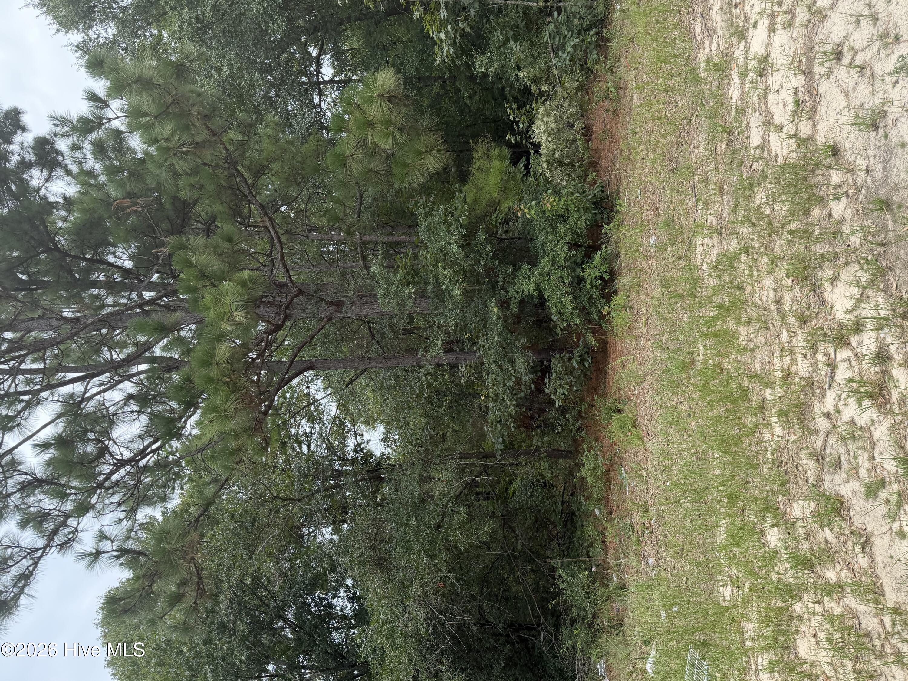 406 Douglas Drive Property Photo 1