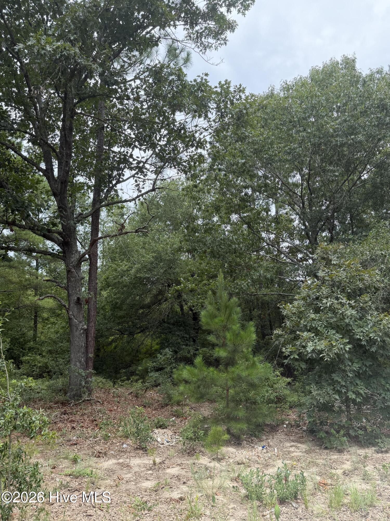 406 Douglas Drive Property Photo 2
