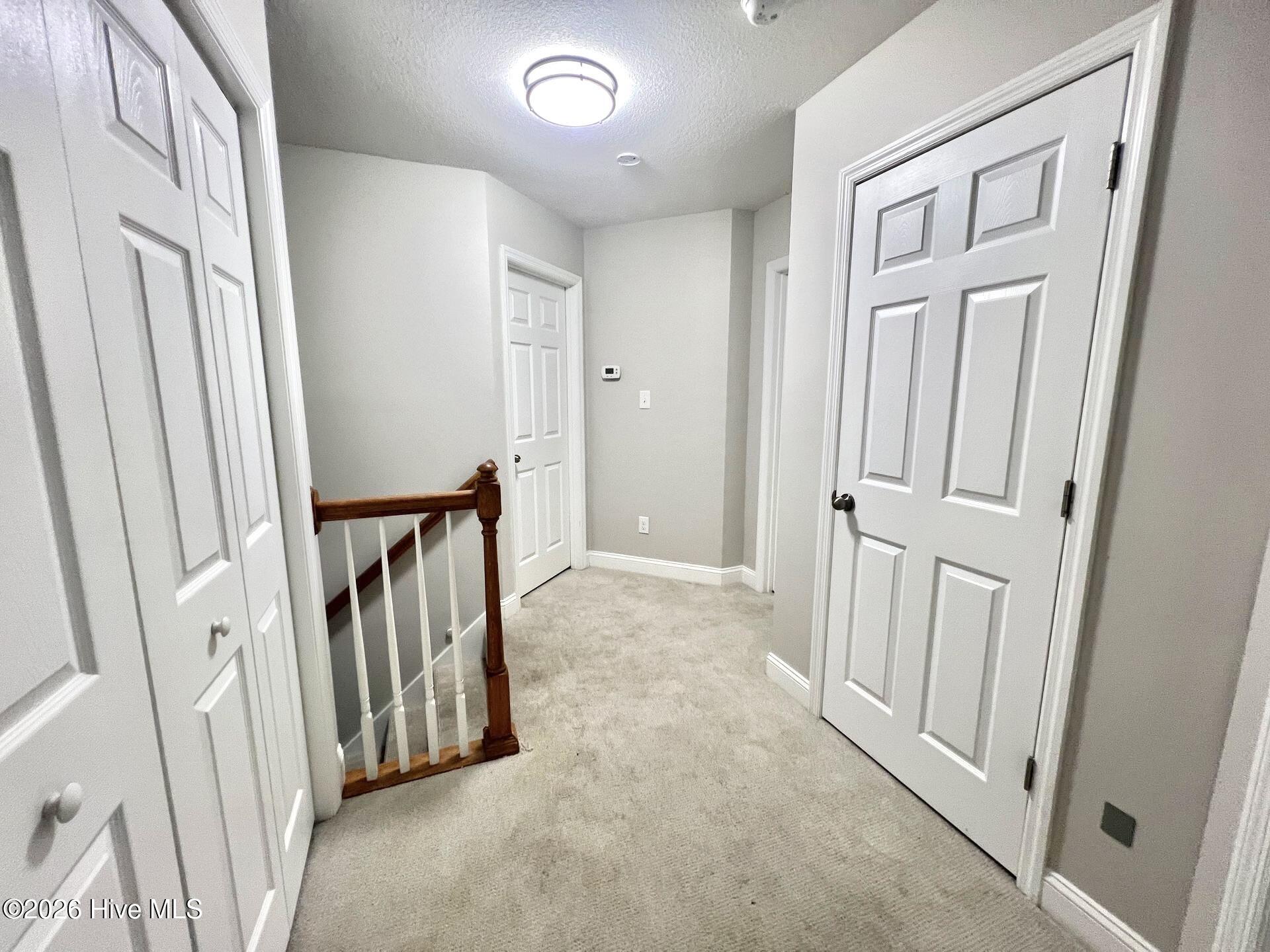 314 Springcreek Court Property Photo 11