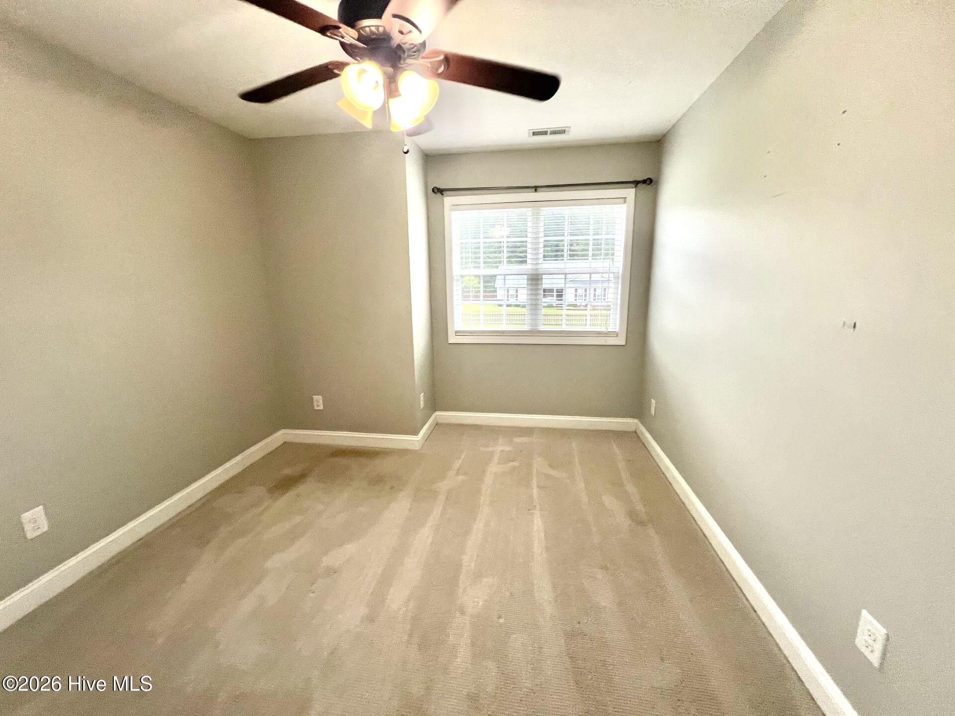 314 Springcreek Court Property Photo 19